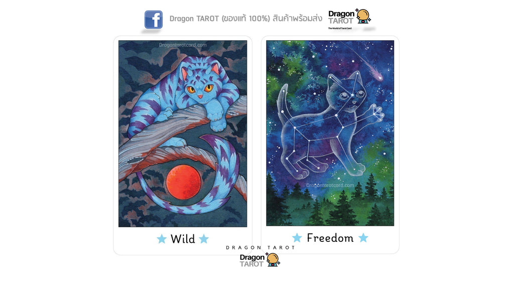 Affirmations of the Fairy Cats Deck and Book Set | ไพ่ออราเคิล