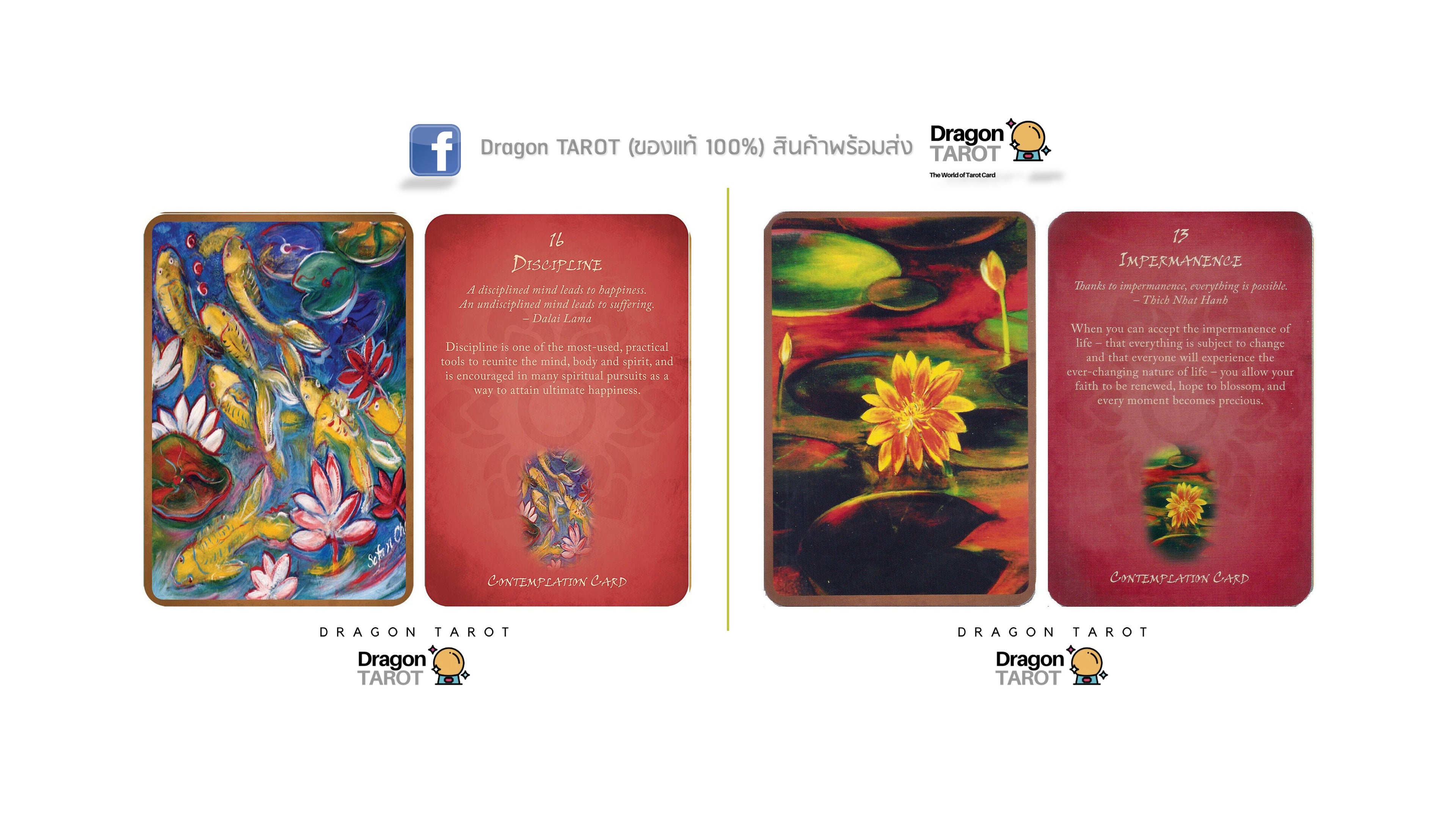 A set of Dragon Tarot cards displayed on a white background, showing both the illustrated front and back designs. The cards feature vibrant, artistic illustrations including koi fish, lotus flowers, and water lilies on red and multicolor card backs, with the Dragon Tarot logo visible.