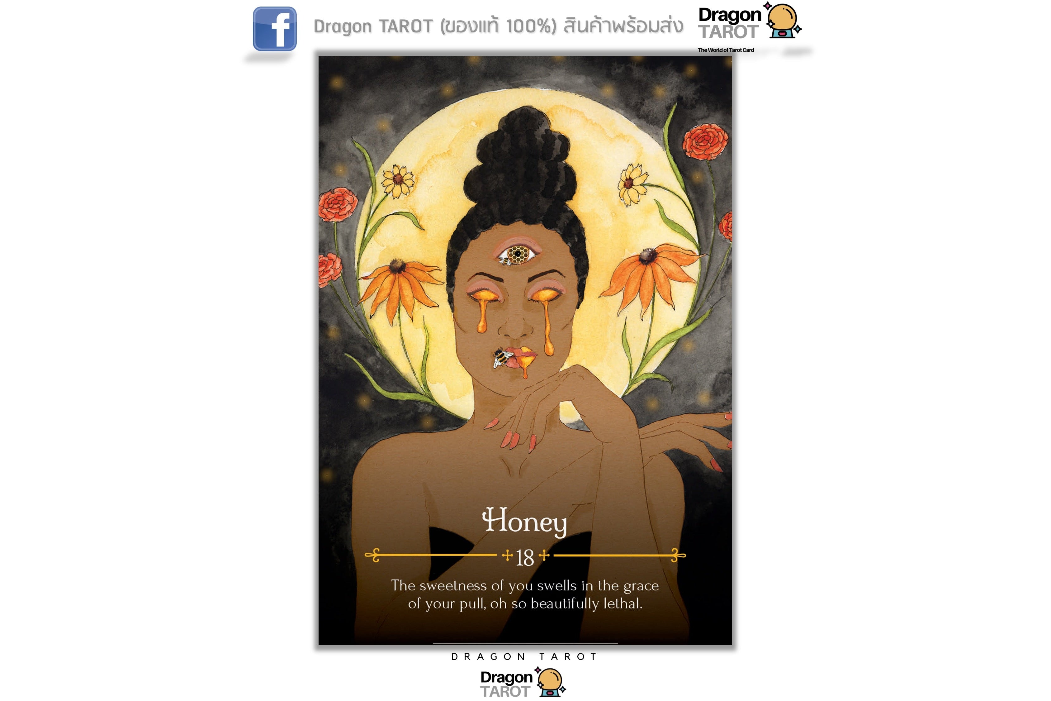 Seasons of the Witch: Beltane Oracle ไพ่ขอบทอง | ไพ่ออราเคิล