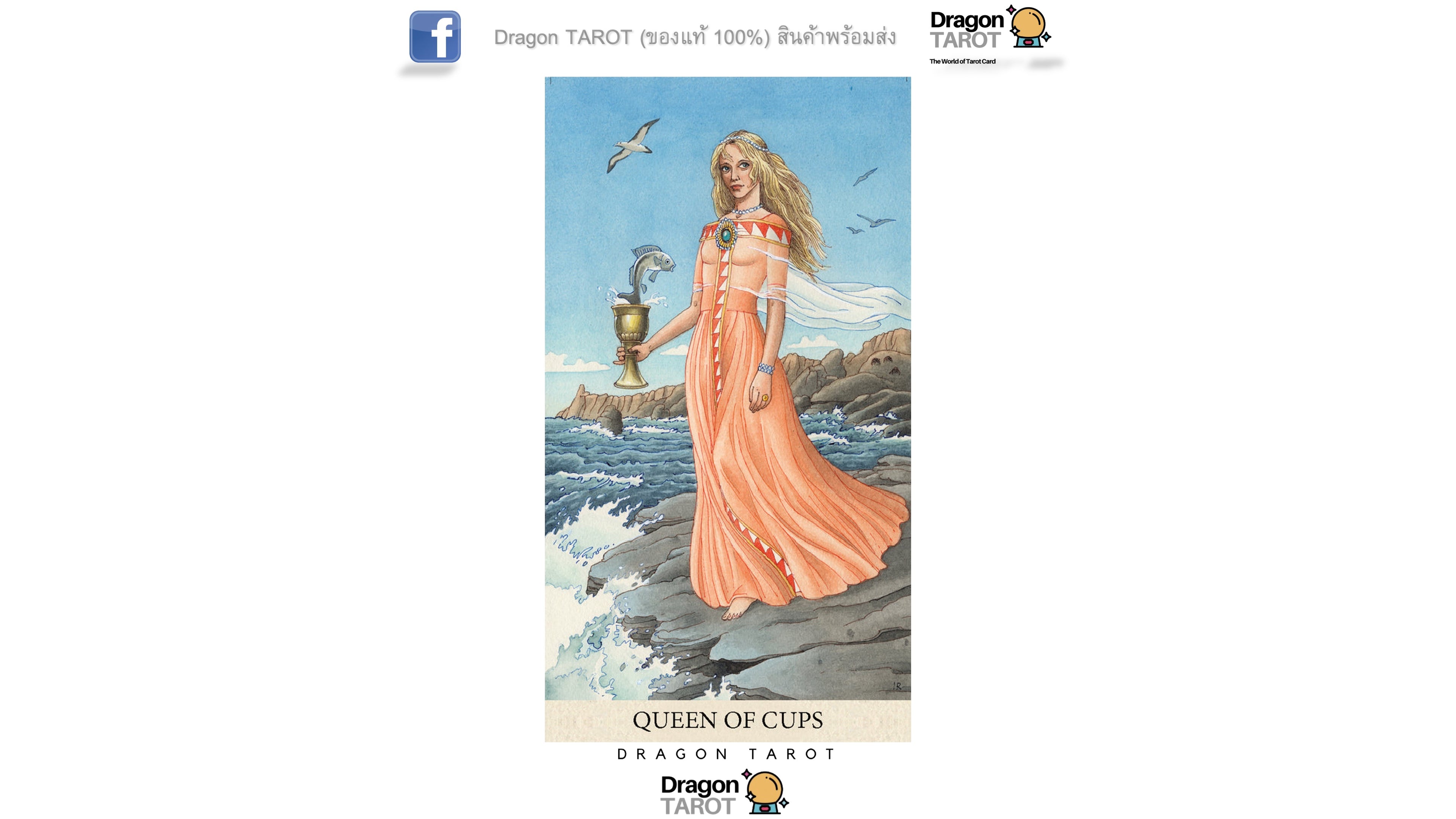 Tarot of the Longest Dream Kit | ไพ่ทาโรต์ พร้อมหนังสือคู่มือ