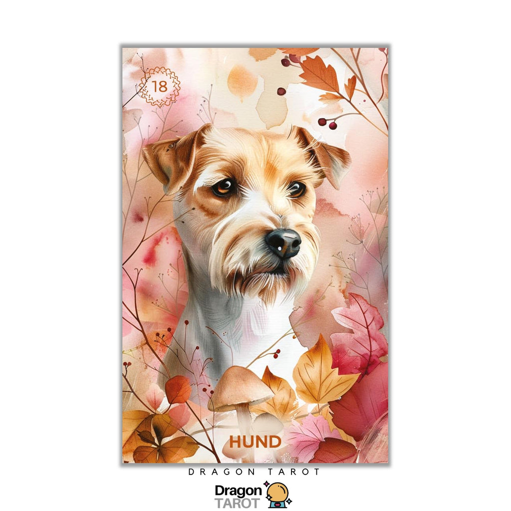 Autumn’s Embrace Lenormand | ไพ่เลอร์นอร์มอง