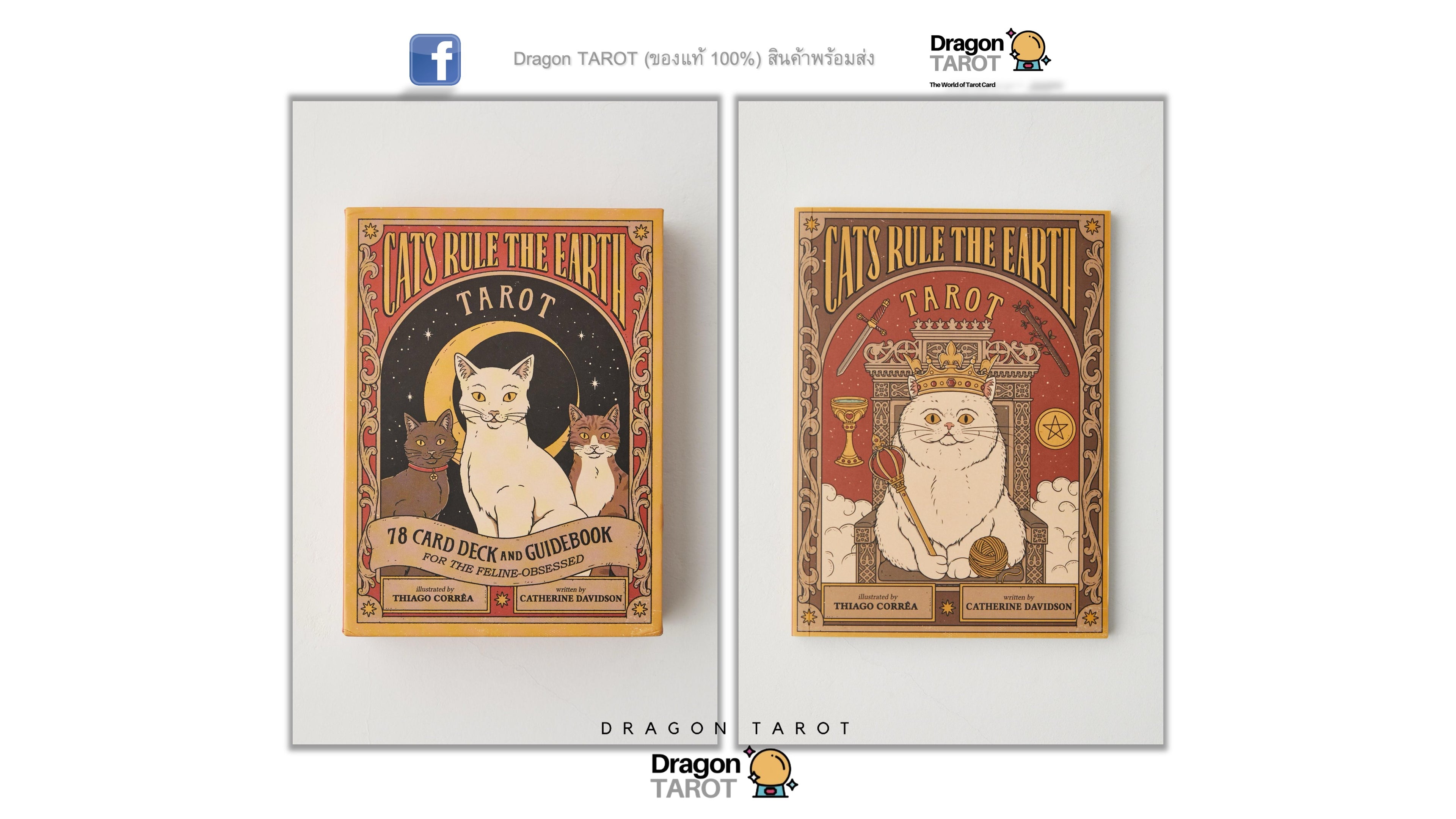 Cats Rule the Earth Tarot | ไพ่ทาโรต์