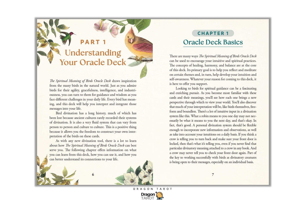 A preview of an Oracle Deck Basics booklet page, showing Chapter 1 with text on the right and a title on the left, decorated with watercolor illustrations of a bird and flowers. The Dragon Tarot logo is visible at the bottom.