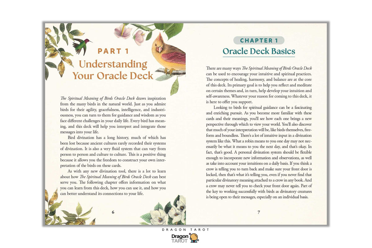 A preview of an Oracle Deck Basics booklet page, showing Chapter 1 with text on the right and a title on the left, decorated with watercolor illustrations of a bird and flowers. The Dragon Tarot logo is visible at the bottom.
