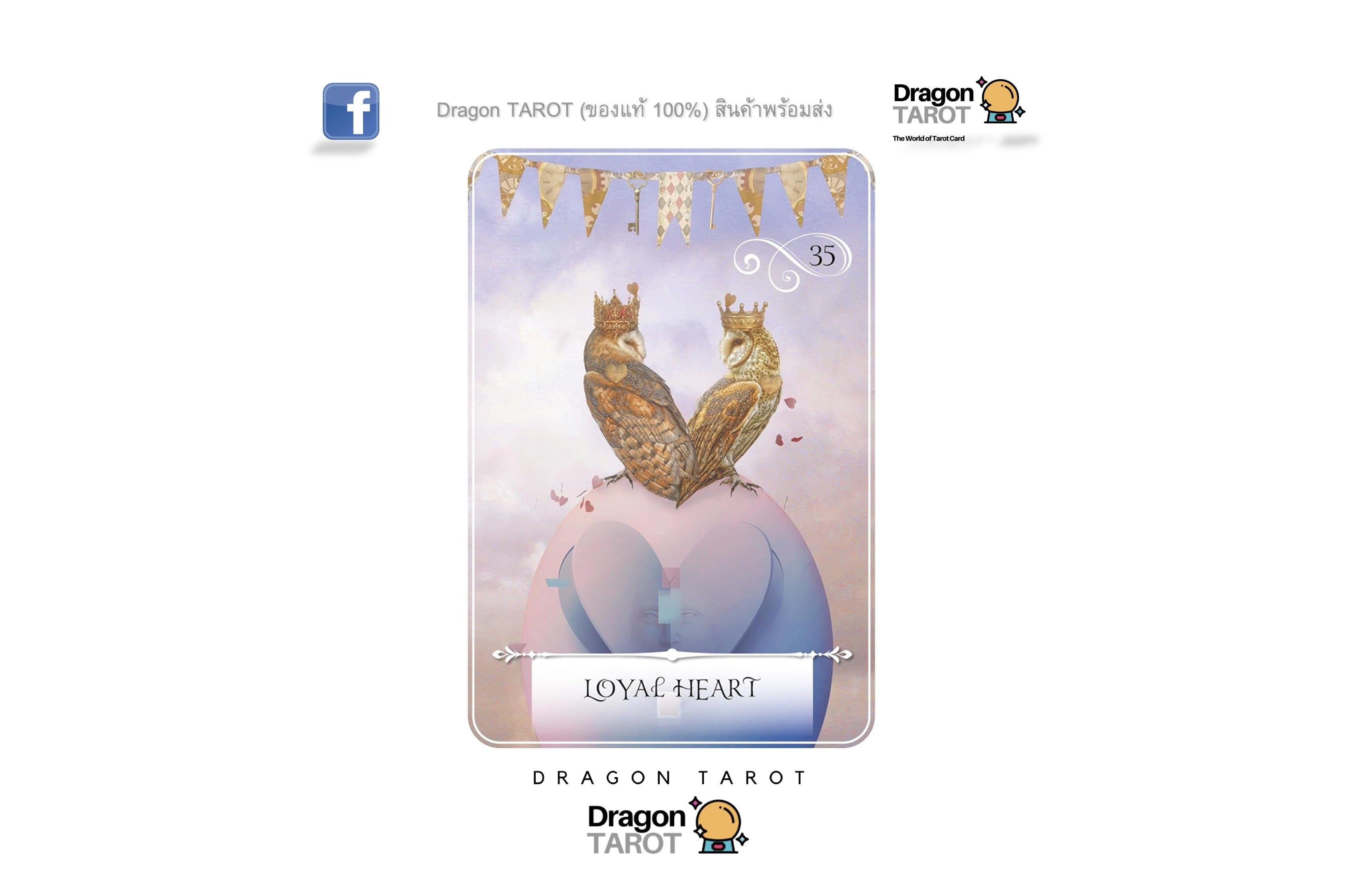 Wisdom of the Oracle Pocket Divination Cards | ไพ่ออราเคิล ขนาดพกพา