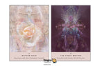 Rose Oracle: A 44-Card Deck and Guidebook, The | ไพ่ออราเคิล