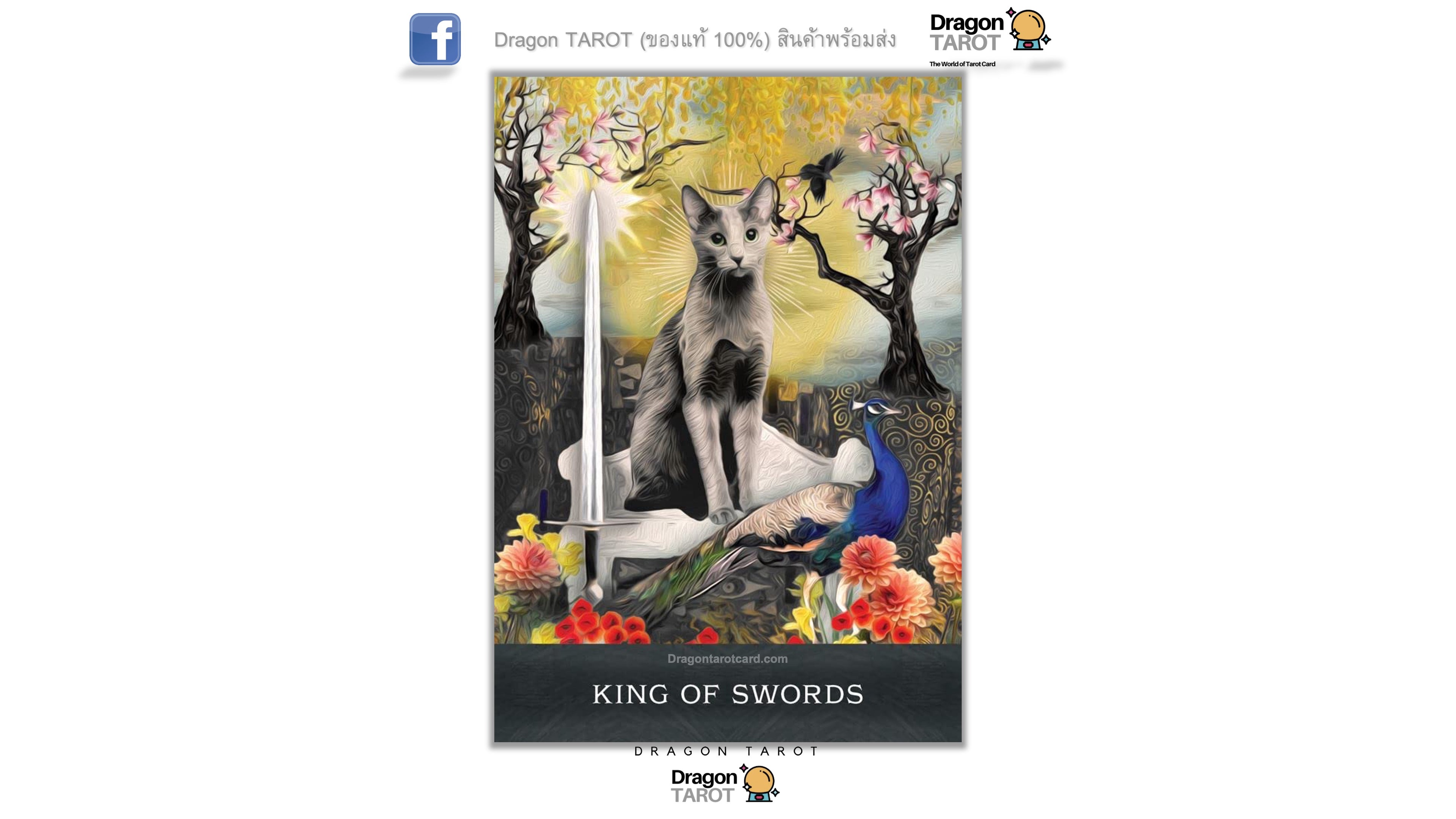 Grimalkin’s Curious Cats Tarot | ไพ่ทาโรต์