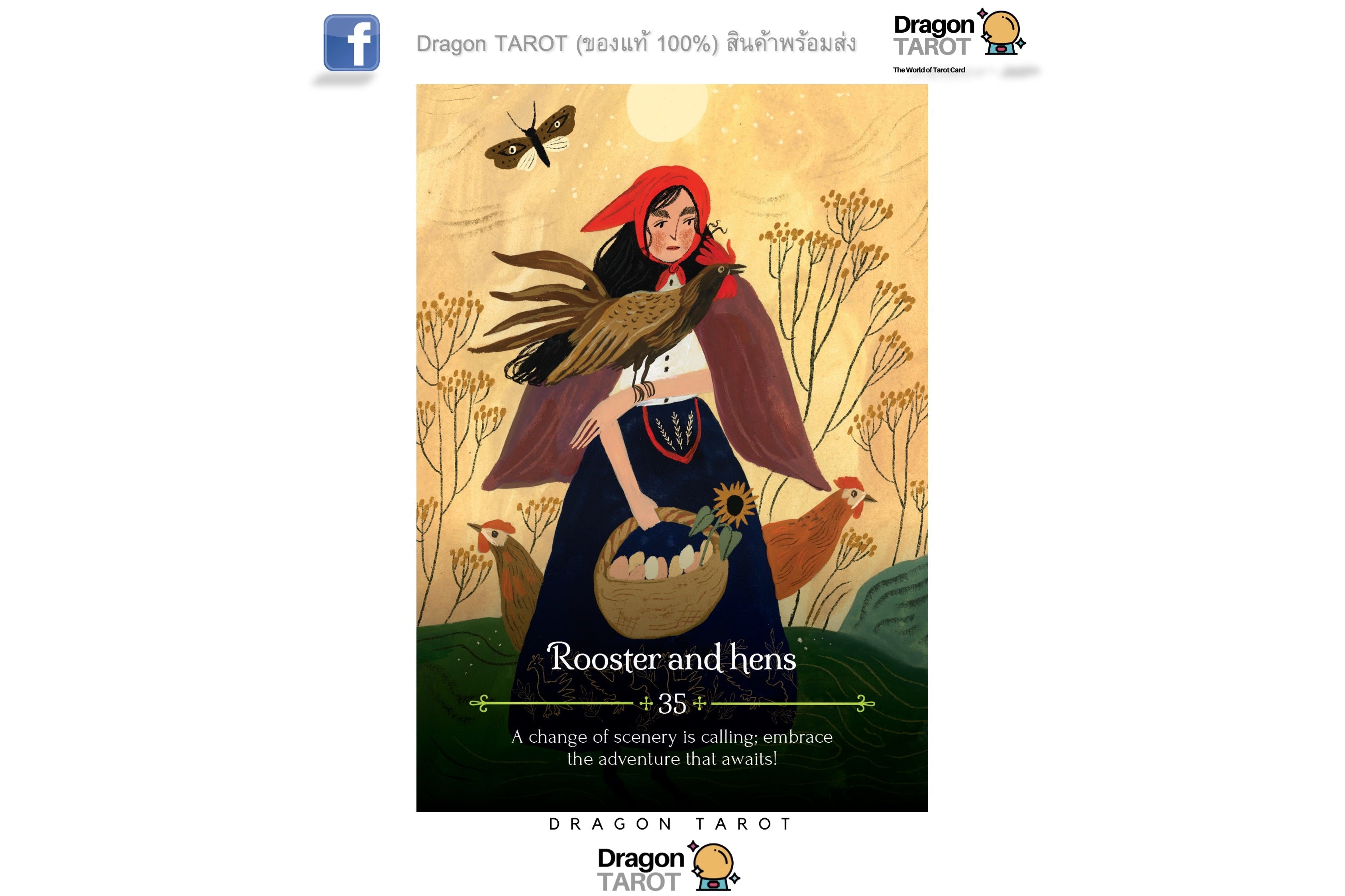 Seasons of the Witch: Lammas Oracle ไพ่ขอบทอง | ไพ่ออราเคิล