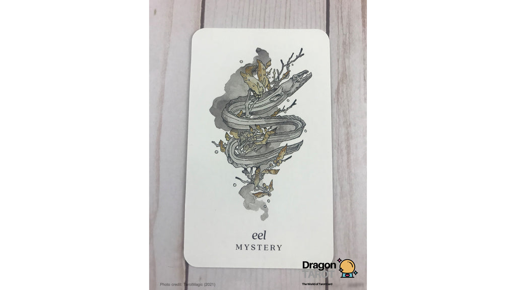 Winterseer Animal Oracle | ไพ่ออราเคิล พร้อมหนังสือคู่มือ
