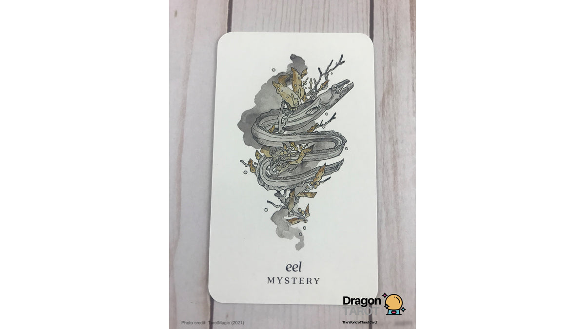 Winterseer Animal Oracle | ไพ่ออราเคิล พร้อมหนังสือคู่มือ