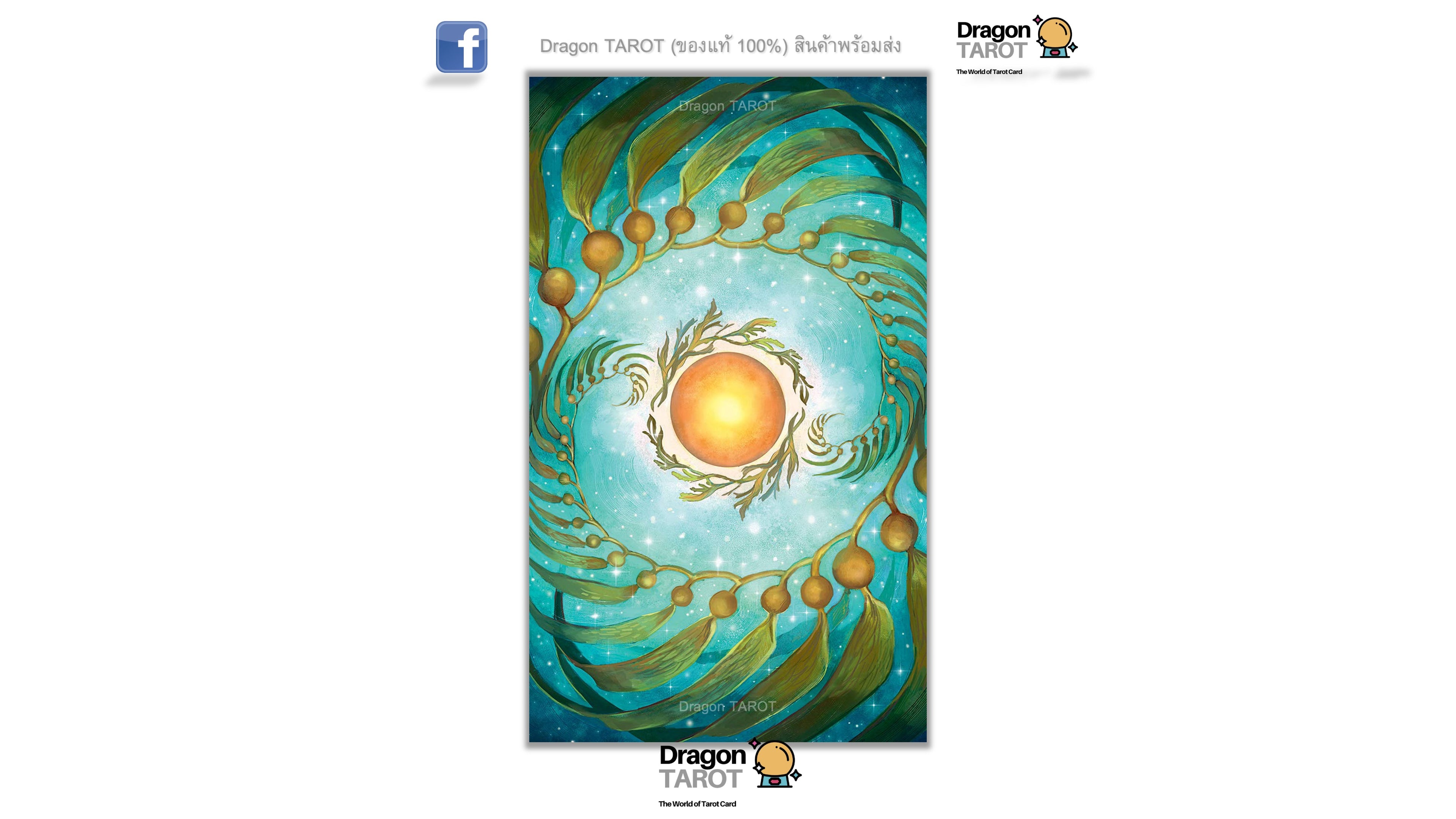 Mermaid Tarot Kit | ไพ่ทาโรต์ พร้อมหนังสือคู่มือ