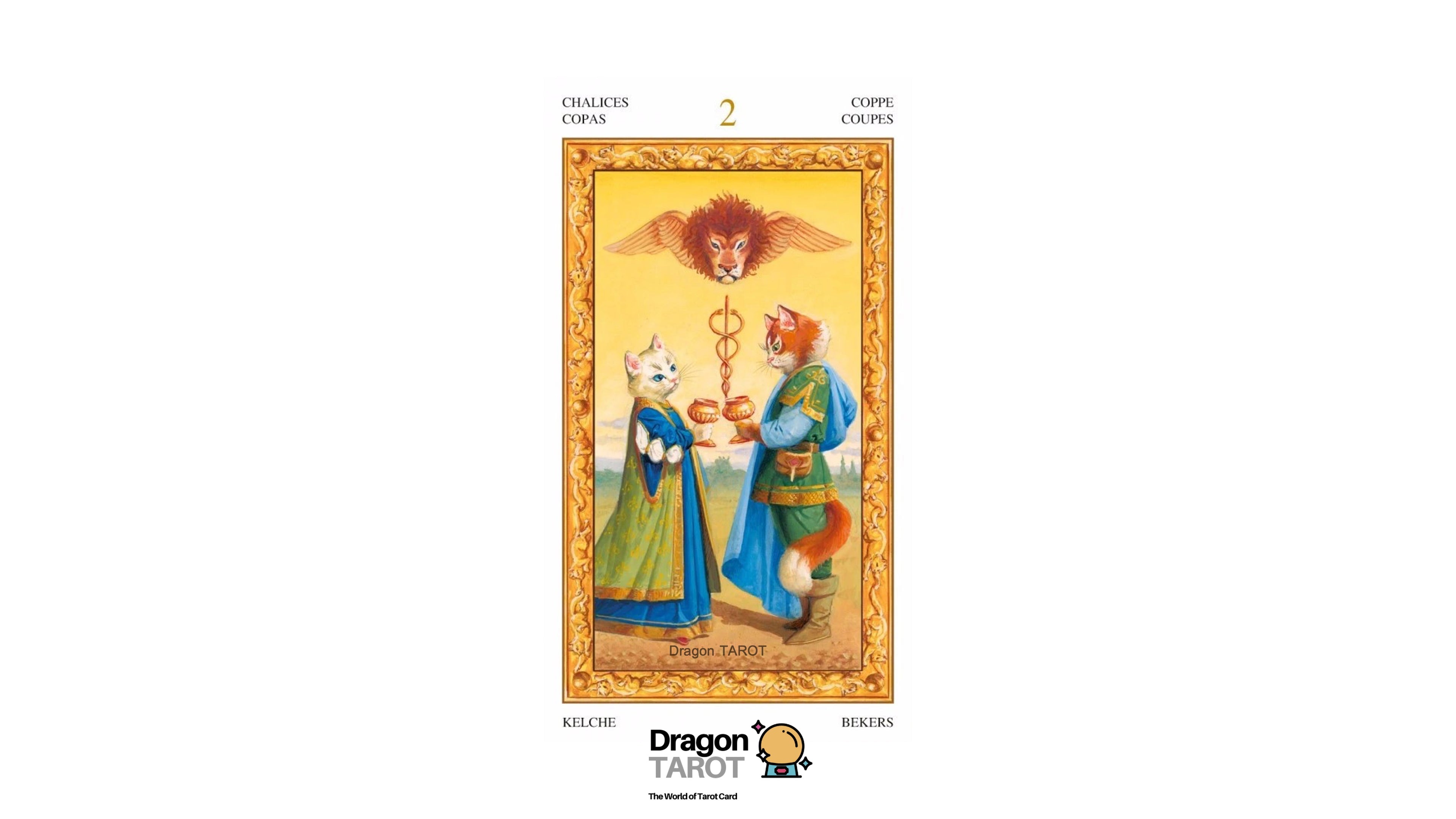Tarot of White Cats | ไพ่ทาโรต์