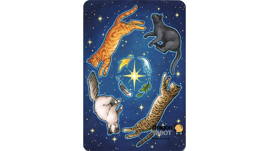 A tarot card illustration featuring five cats floating in a starry night sky, with a central celestial motif and the 'Mortier & Larrey' brand logo in the bottom right corner.