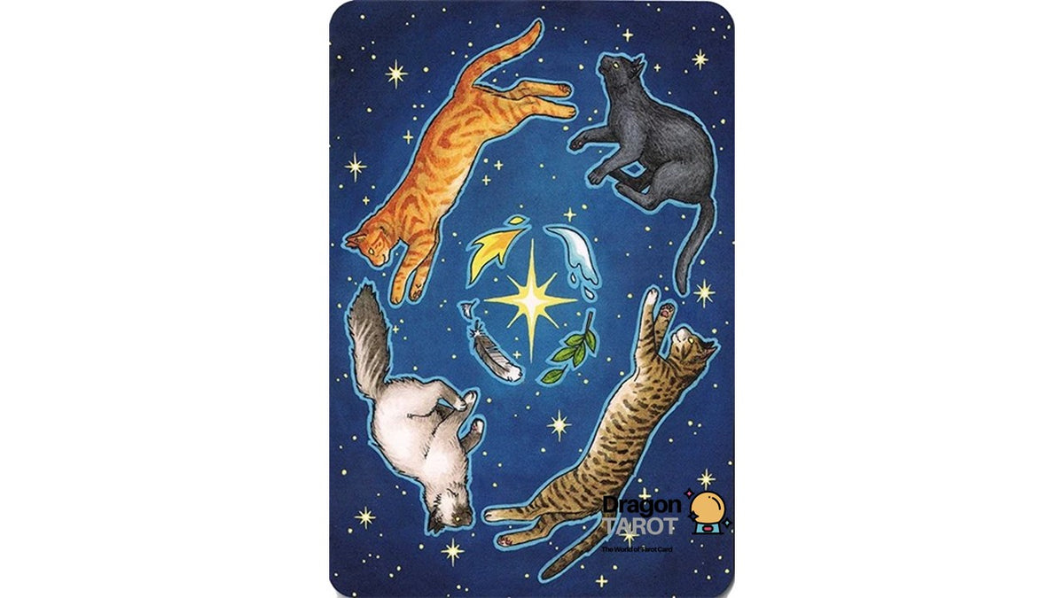 A tarot card illustration featuring five cats floating in a starry night sky, with a central celestial motif and the 'Mortier & Larrey' brand logo in the bottom right corner.