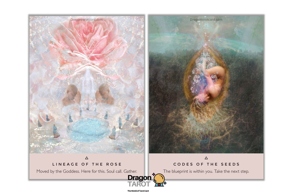 Rose Oracle: A 44-Card Deck and Guidebook, The | ไพ่ออราเคิล