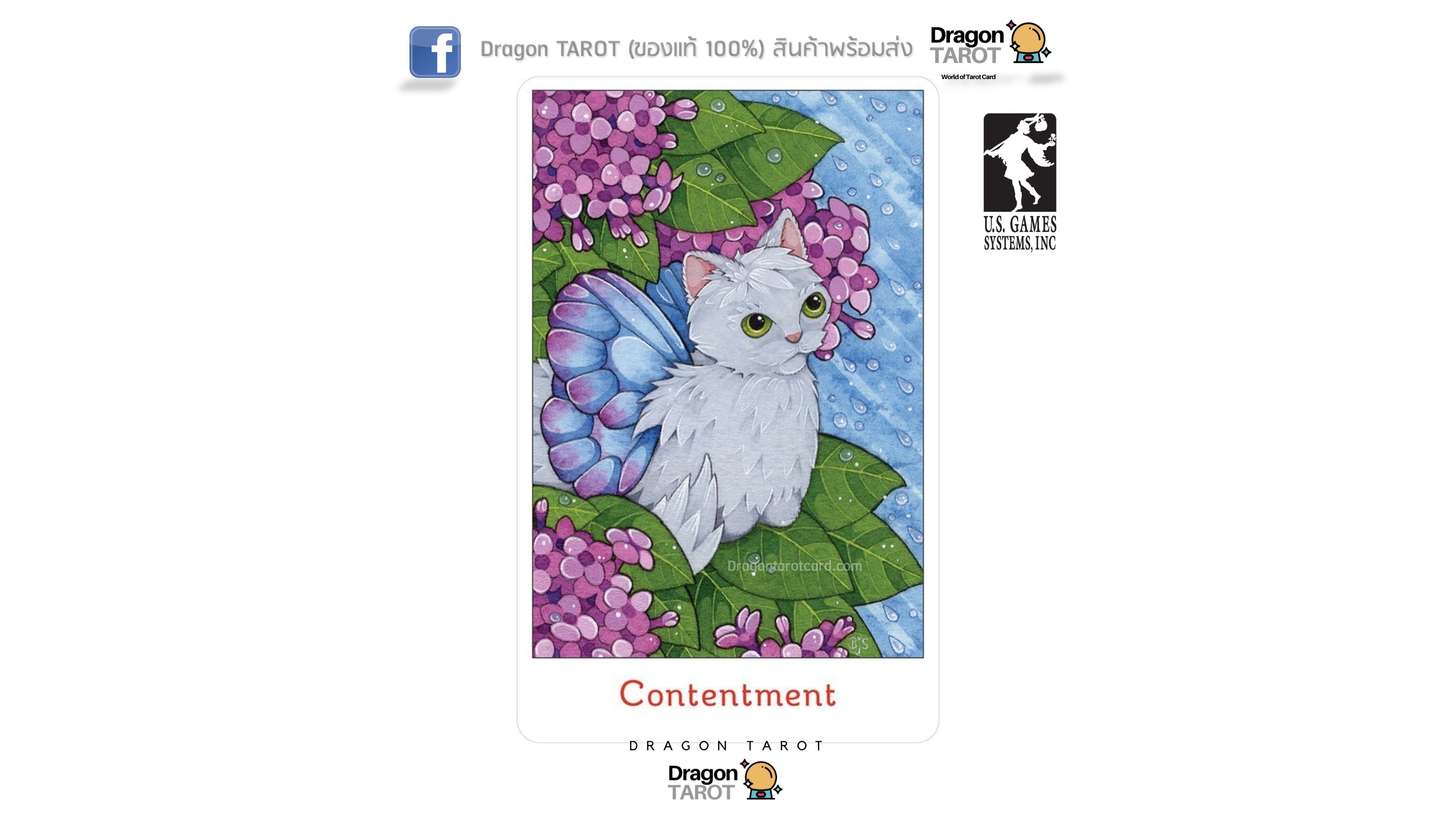 Affirmations of the Fairy Cats Deck and Book Set | ไพ่ออราเคิล