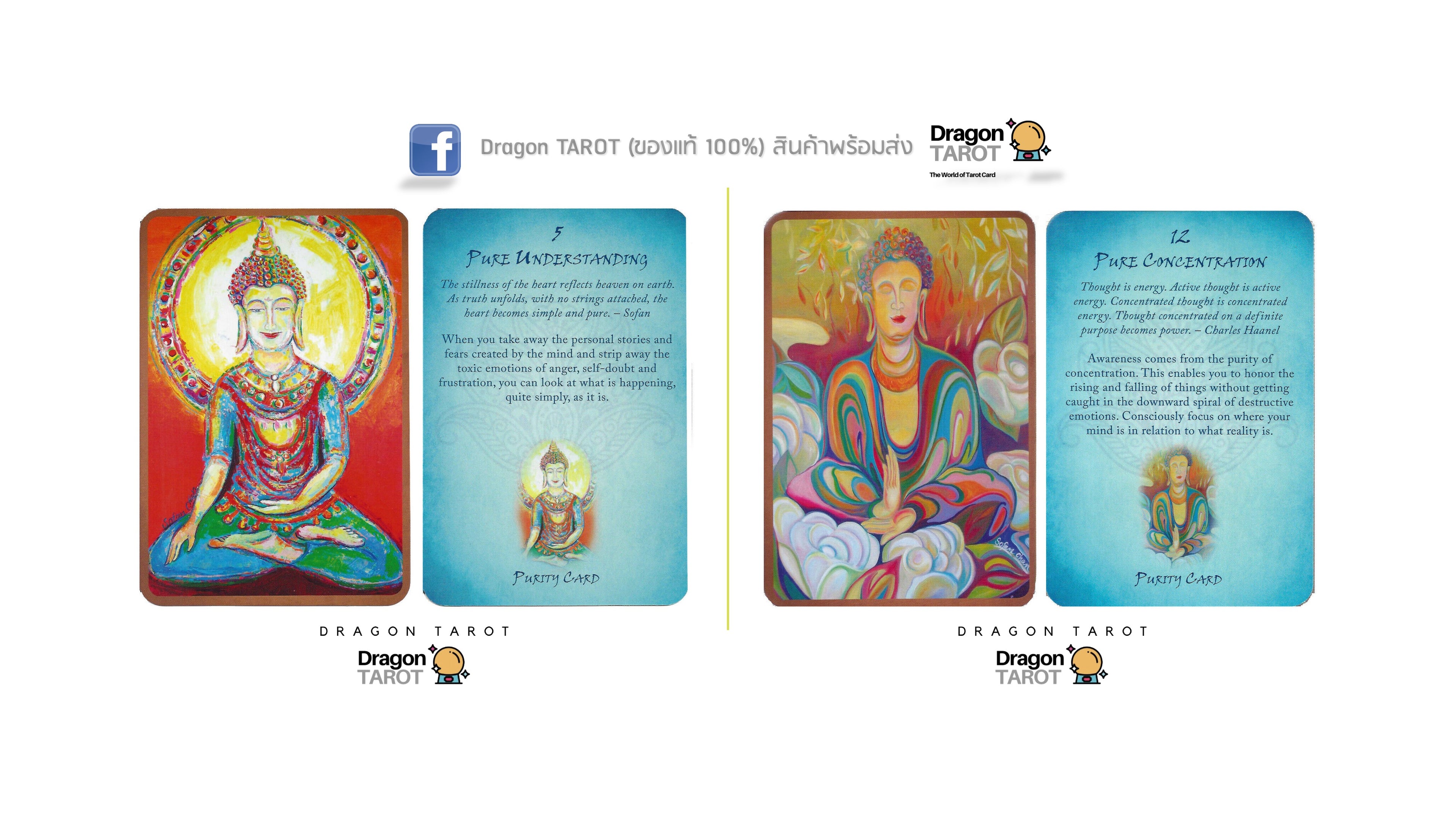 A set of Dragon Tarot oracle cards shown on a white background, featuring two pairs of cards with colorful illustrations and text. The cards display various spiritual and philosophical concepts such as 'Pure Mind-Image' and 'Pure Concentration' with Thai and English text, and the Dragon Tarot brand logo is visible.