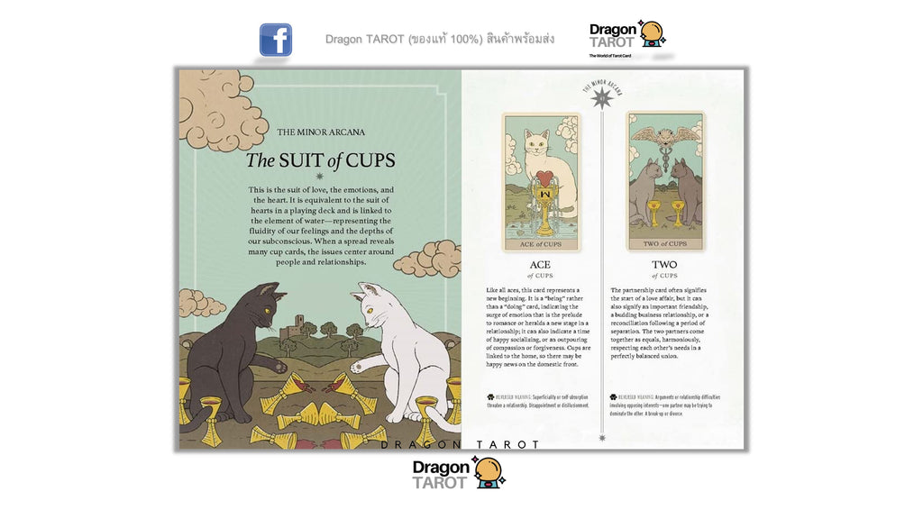 Cats Rule the Earth Tarot | ไพ่ทาโรต์