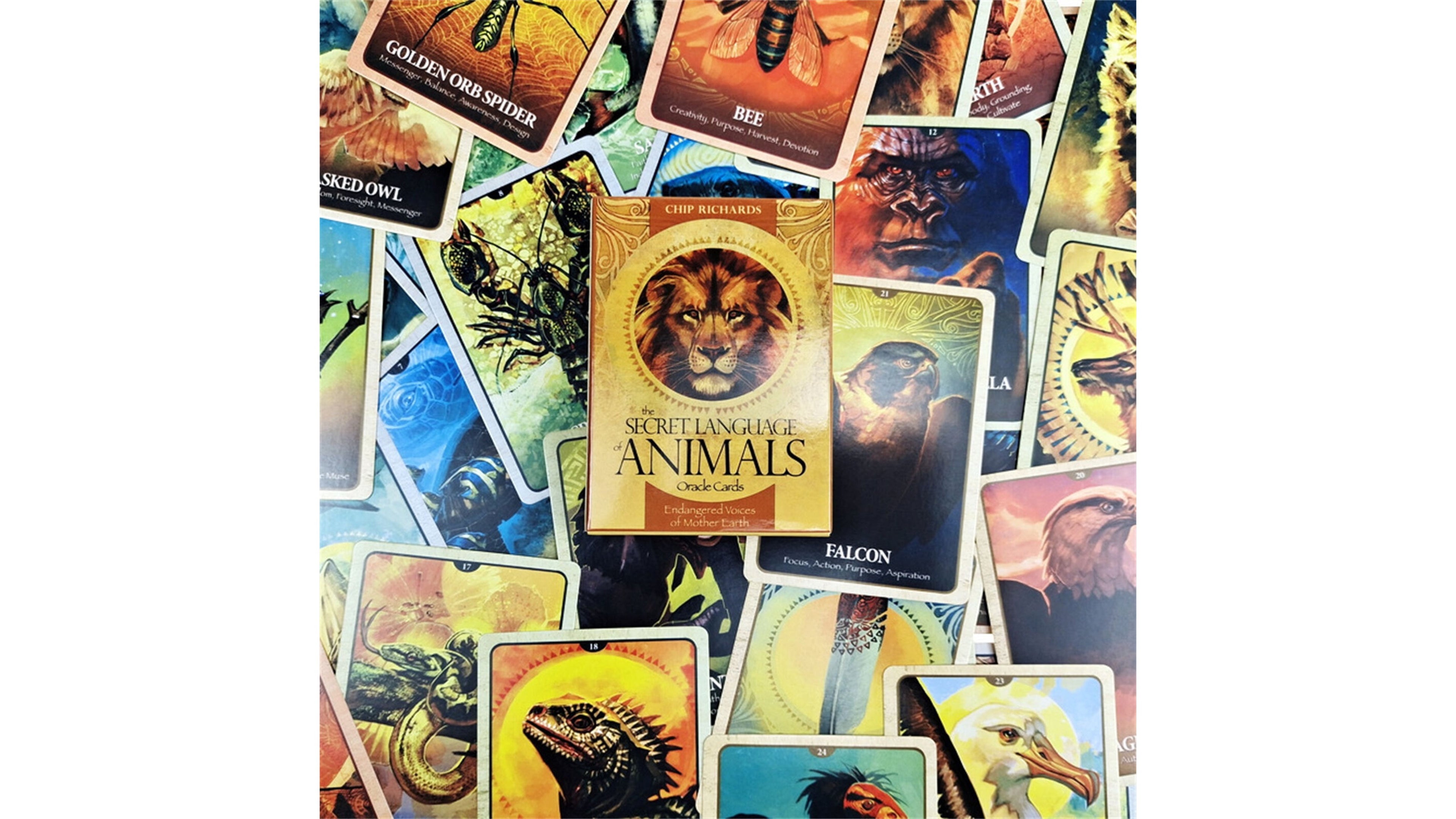 Secret Language of Animals Oracle Cards, The | ไพ่ออราเคิล