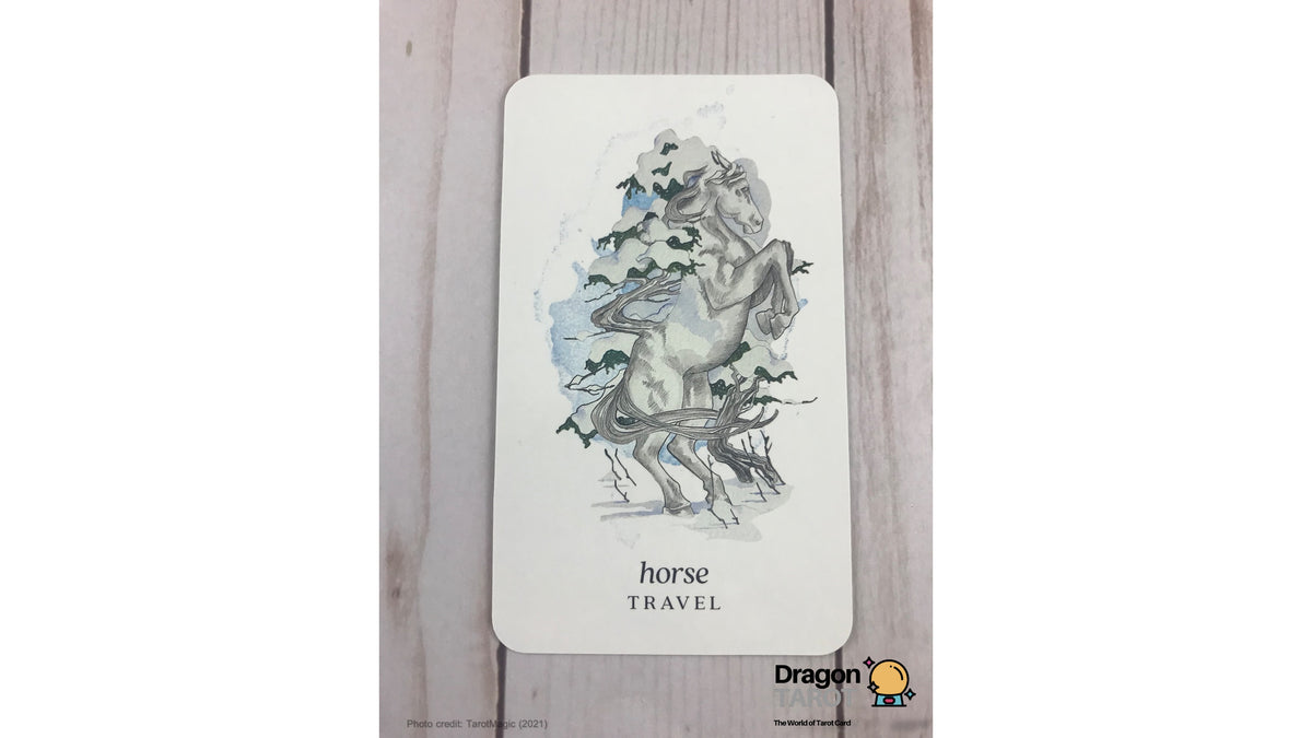 Winterseer Animal Oracle | ไพ่ออราเคิล พร้อมหนังสือคู่มือ