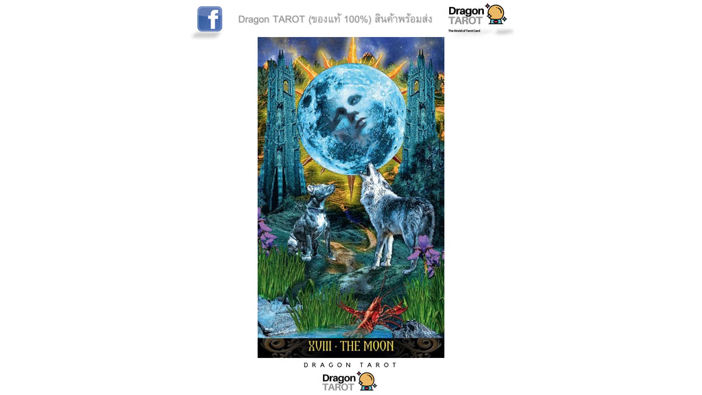 Illuminati Tarot – Premium New Edition | ไพ่ทาโรต์