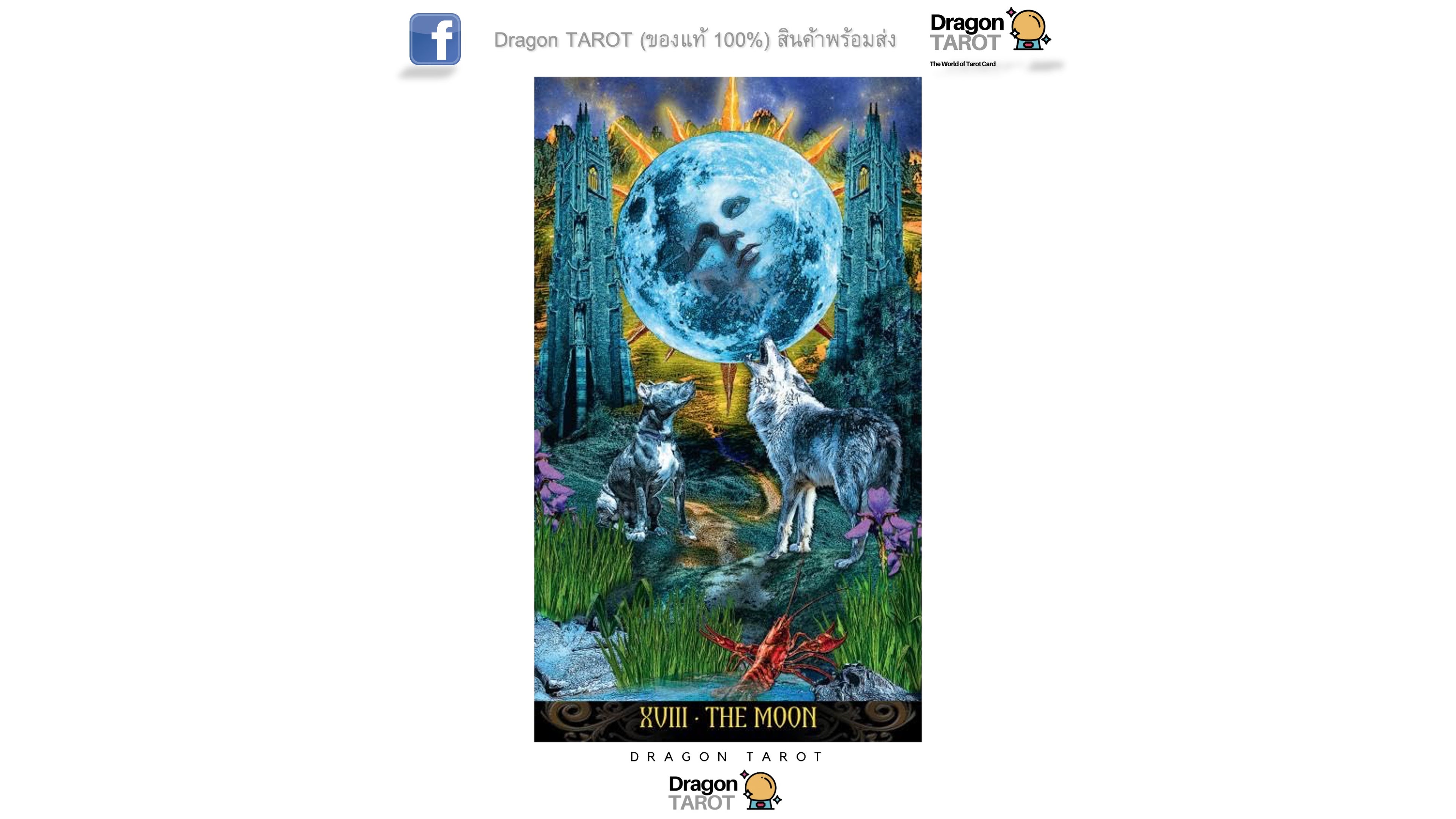 Illuminati Tarot – Premium New Edition | ไพ่ทาโรต์