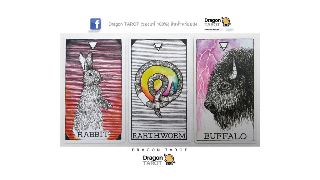 Wild Unknown Animal Spirit Deck and Guidebook, The | ไพ่ออราเคิล พร้อมหนังสือคู่มือ