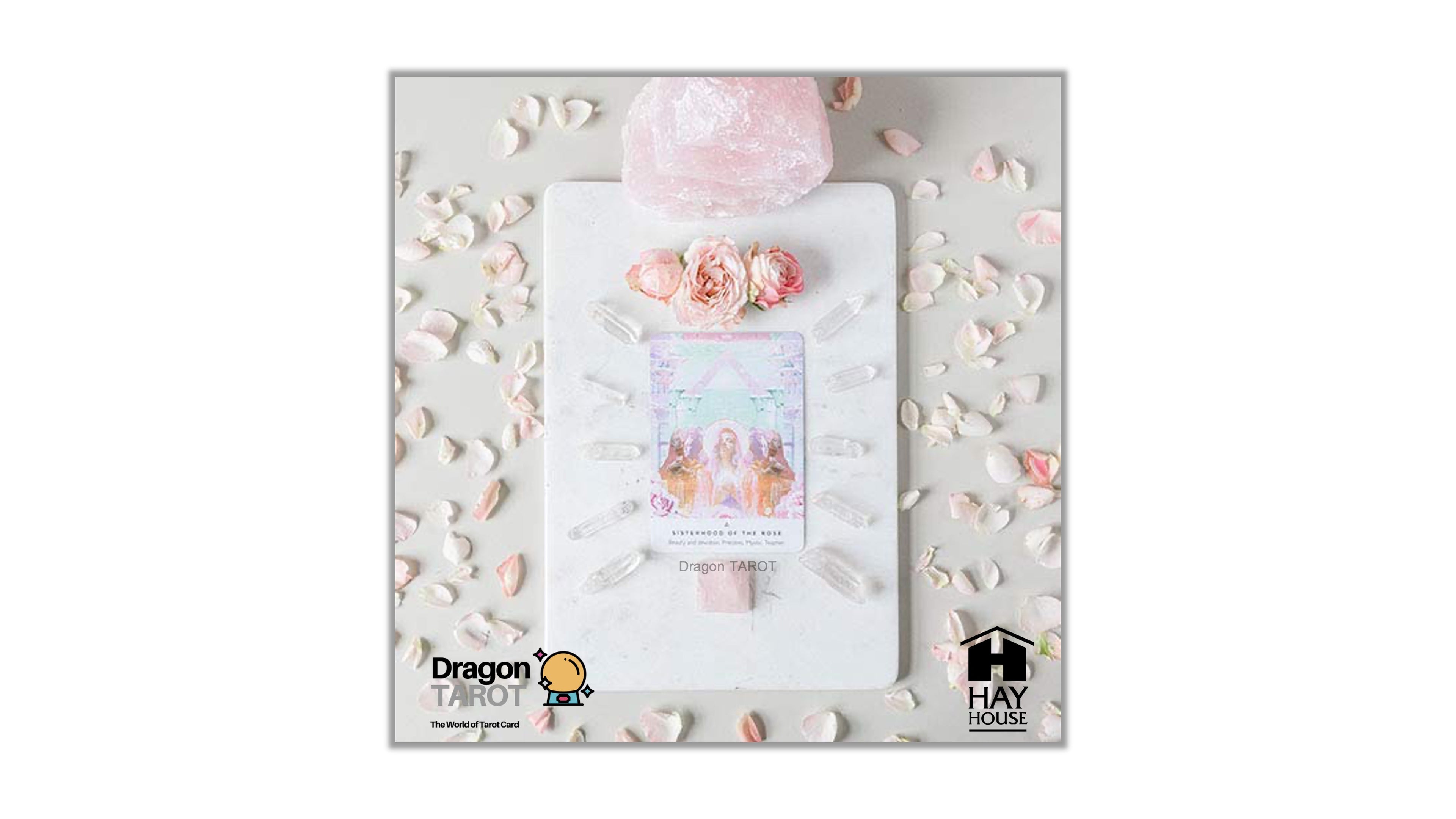A white tarot card deck box with a pink rose and crystal arrangement on top, surrounded by scattered pink petals on a light gray background. The box features the Hay House logo on the bottom right and the Dragon Tarot logo on the bottom left.