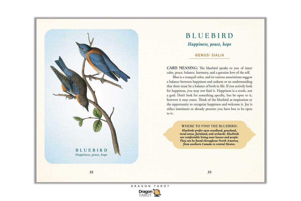 A Dragon Tarot card titled 'BLUEBIRD' shown against a plain white background. The card features an illustration of two bluebirds perched on a branch with text on the right side, including 'Happiness, peace, hope' and a card meaning box.