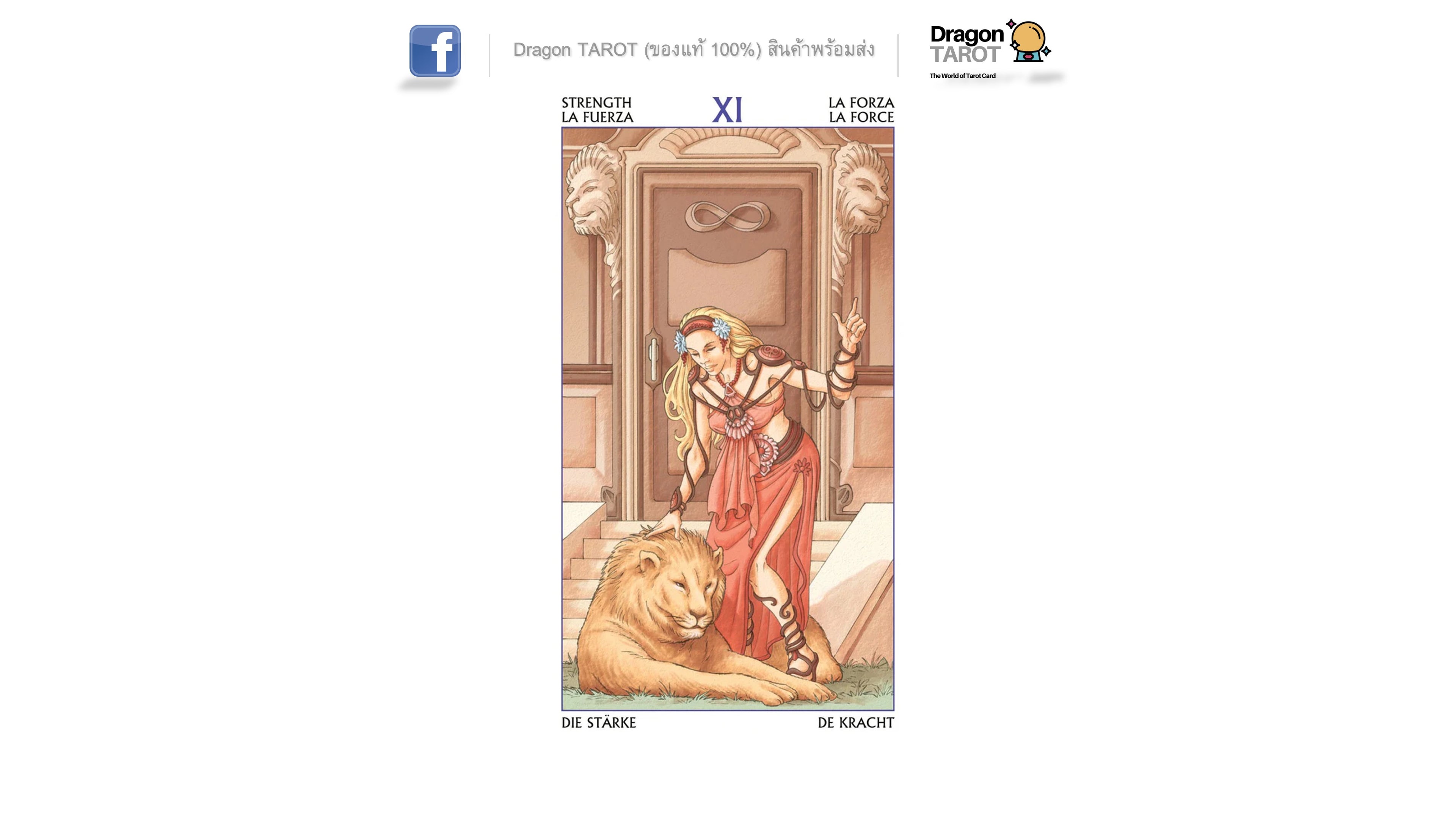 Tarot of the 78 Doors | ไพ่ทาโรต์