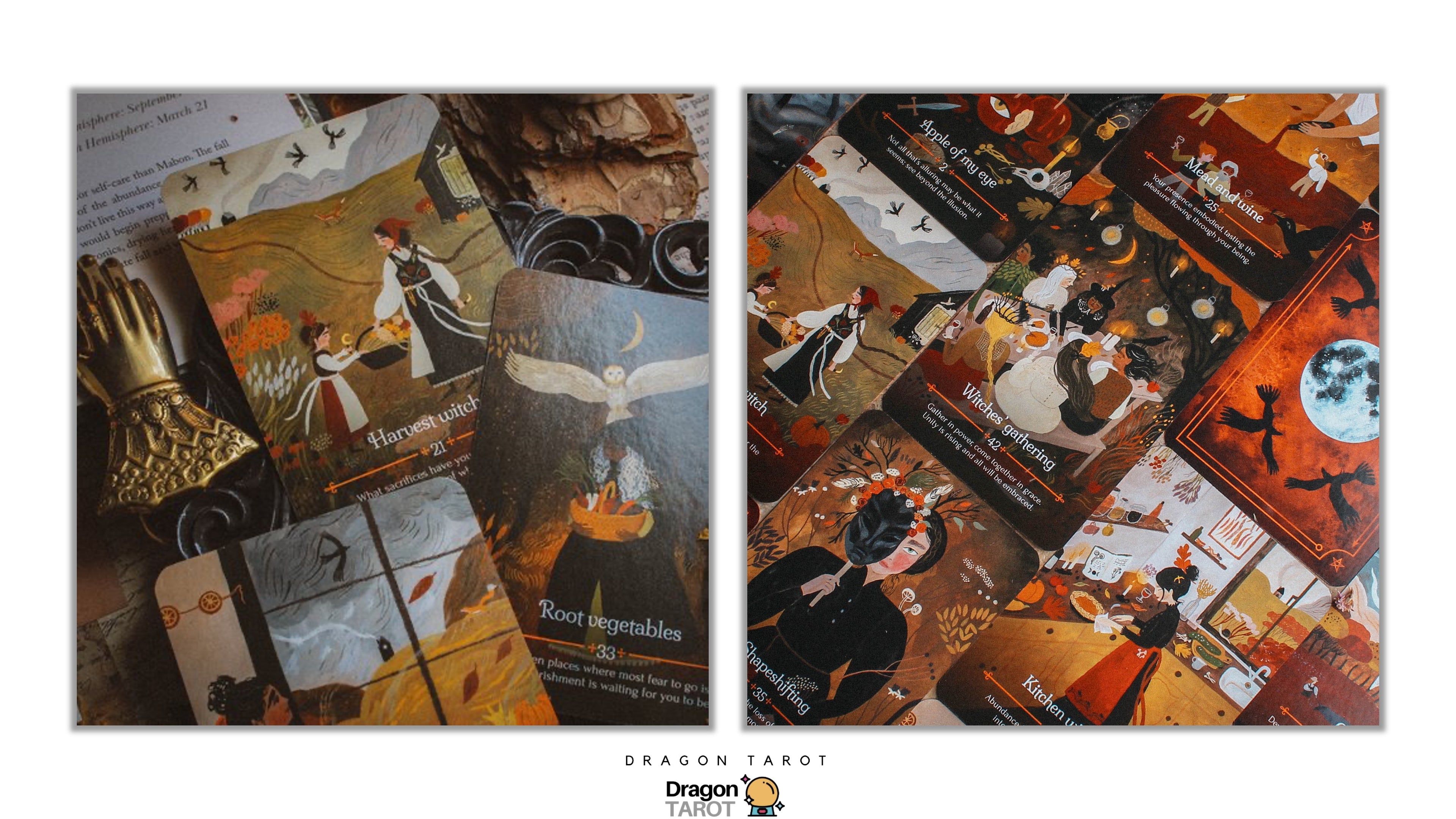 Seasons of the Witch: Mabon ไพ่ขอบทอง | ไพ่ออราเคิล