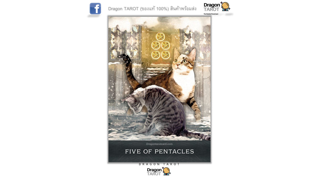 Grimalkin’s Curious Cats Tarot | ไพ่ทาโรต์
