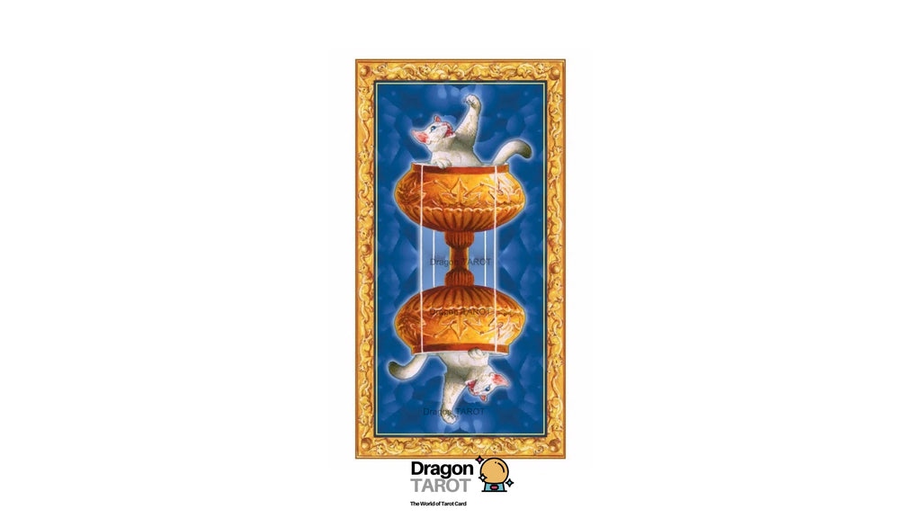 Tarot of White Cats | ไพ่ทาโรต์