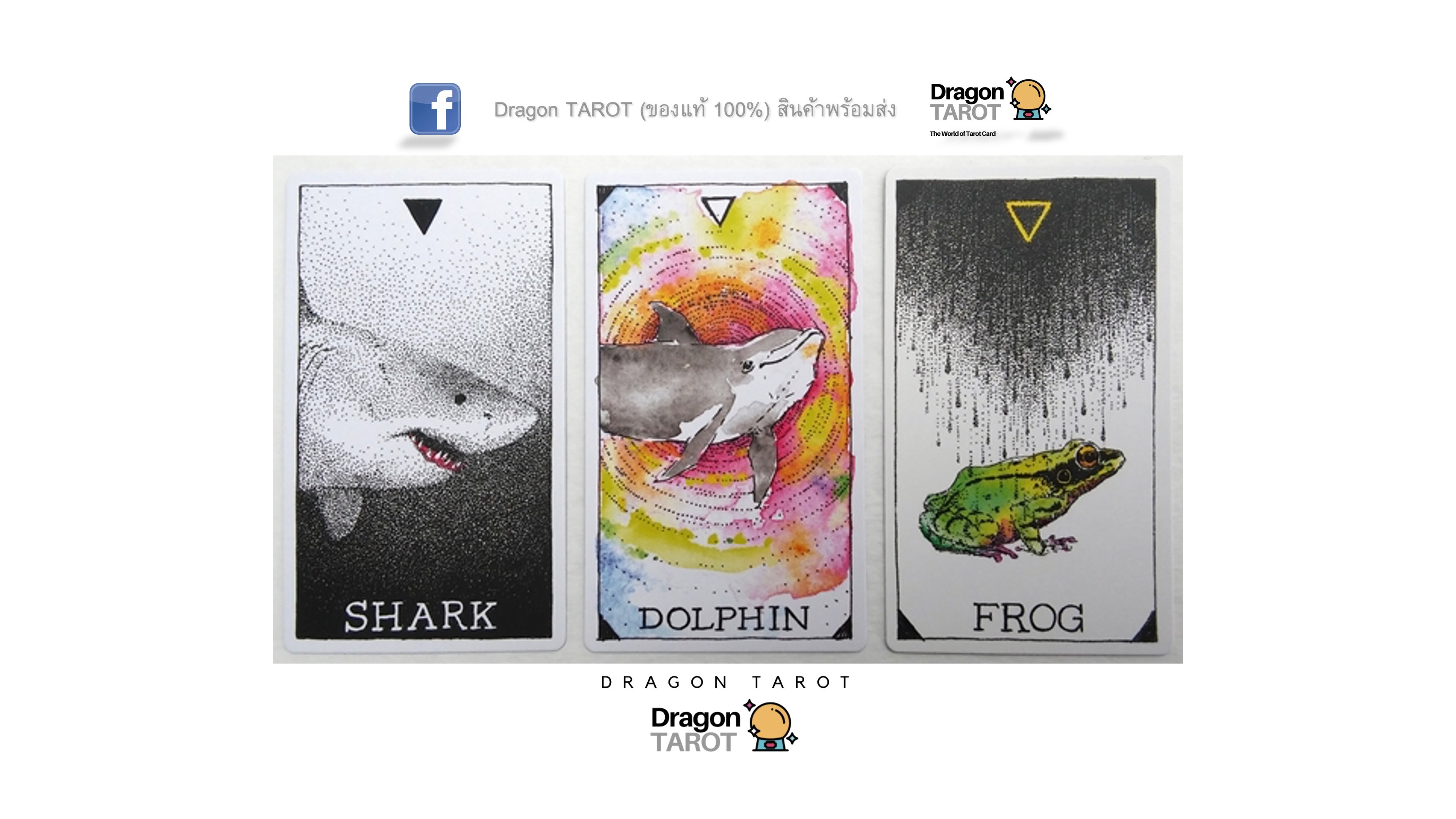Wild Unknown Animal Spirit Deck and Guidebook, The | ไพ่ออราเคิล พร้อมหนังสือคู่มือ