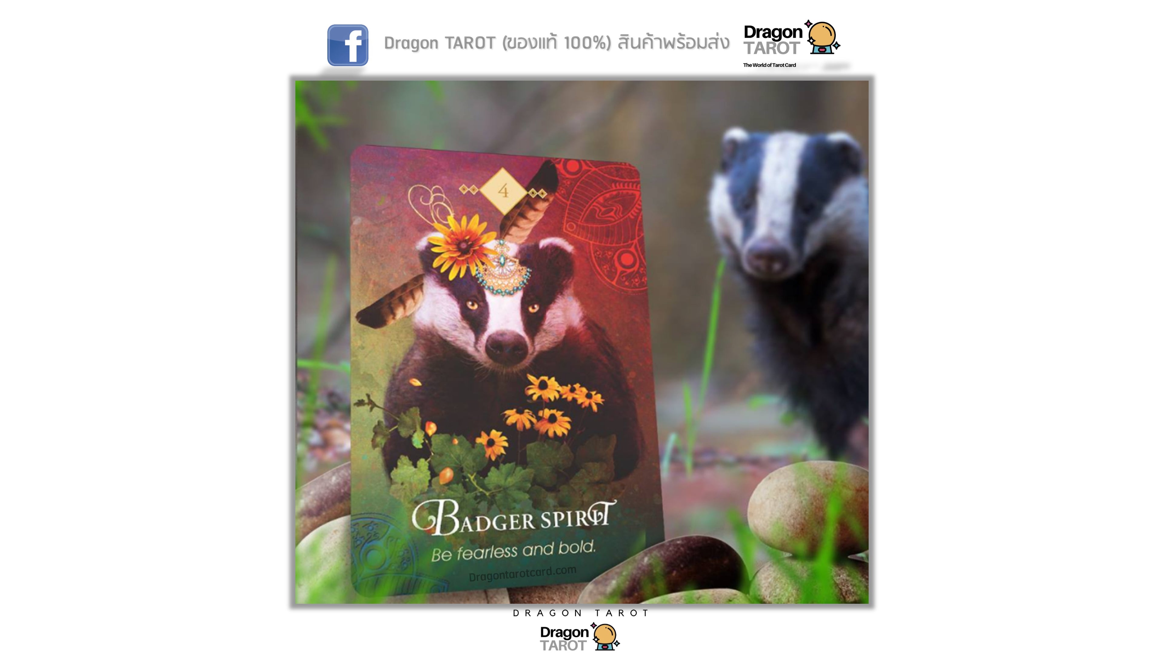 Spirit Animal Oracle, The | ไพ่ออราเคิล
