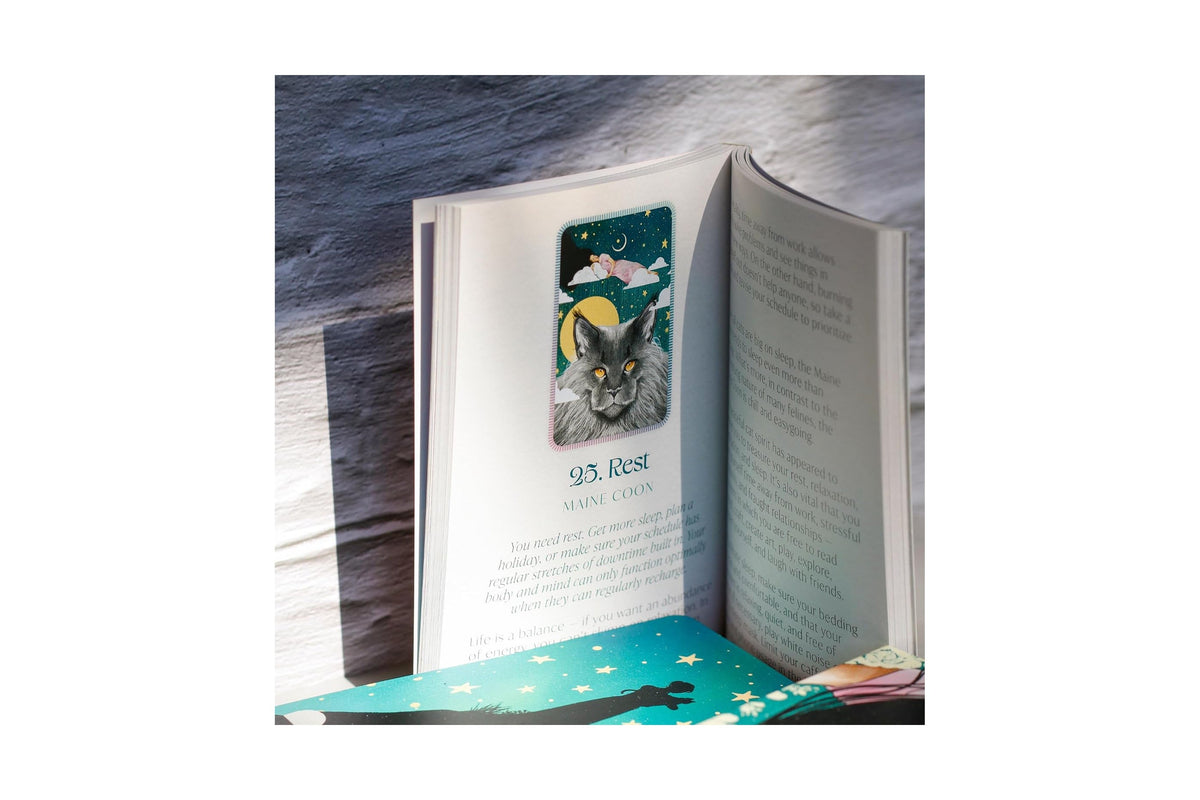 An open book with a small illustrated card or bookmark featuring a cat and the text '23 ASH', placed on a teal patterned surface against a dark wood background.