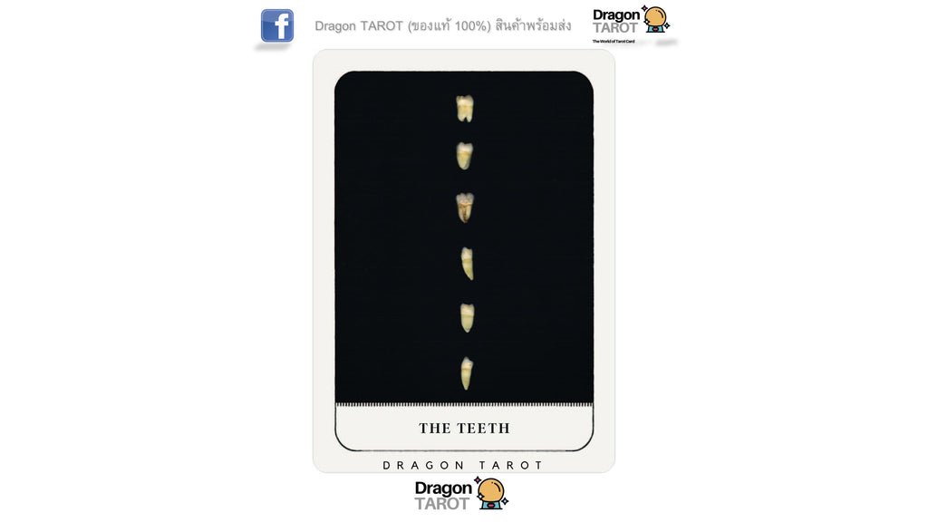 Gentle Chaos Pocket Oracle Deck | ไพ่ออราเคิล ขนาดพกพา