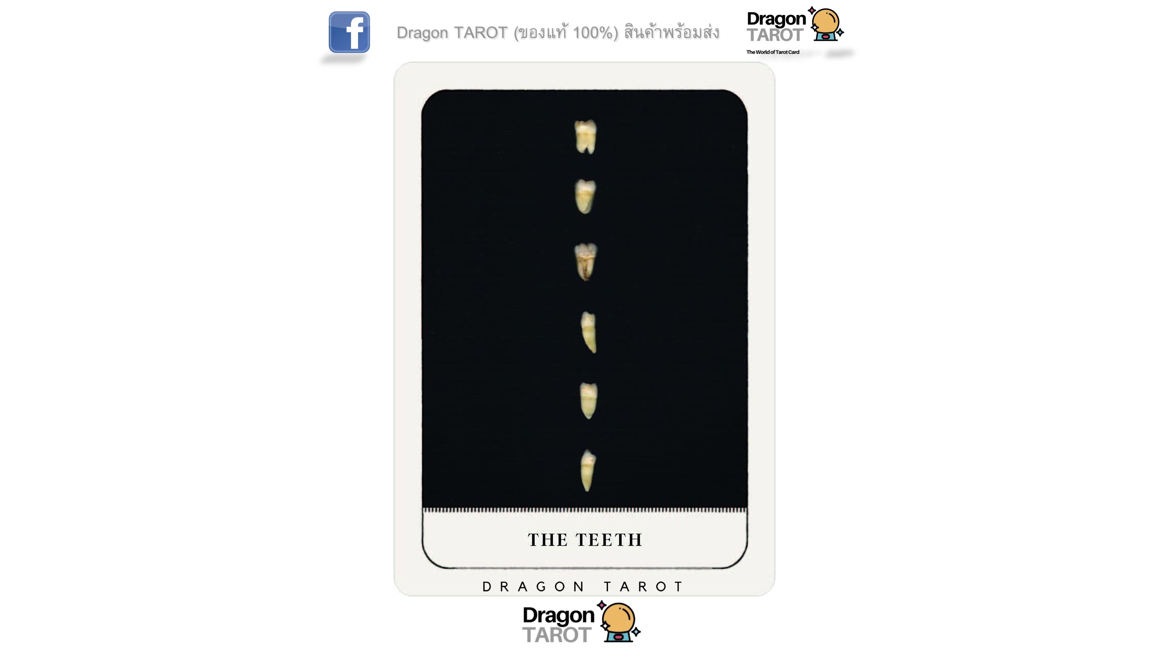 Gentle Chaos Pocket Oracle Deck | ไพ่ออราเคิล ขนาดพกพา