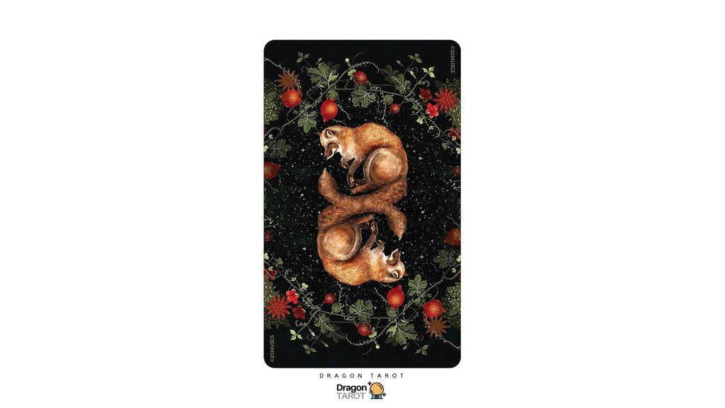 Dream Song Oracle: Deluxe 45-Card Gilt-Edged Oracle Deck | ไพ่ออราเคิล ขอบทอง