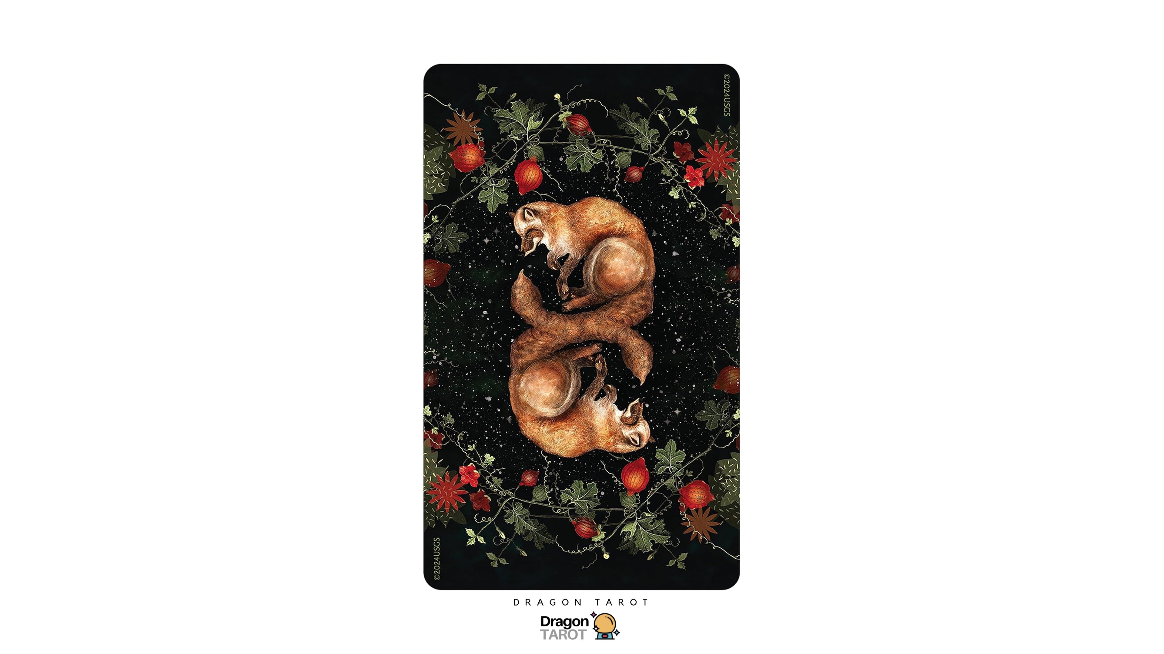 Dream Song Oracle: Deluxe 45-Card Gilt-Edged Oracle Deck | ไพ่ออราเคิล ขอบทอง