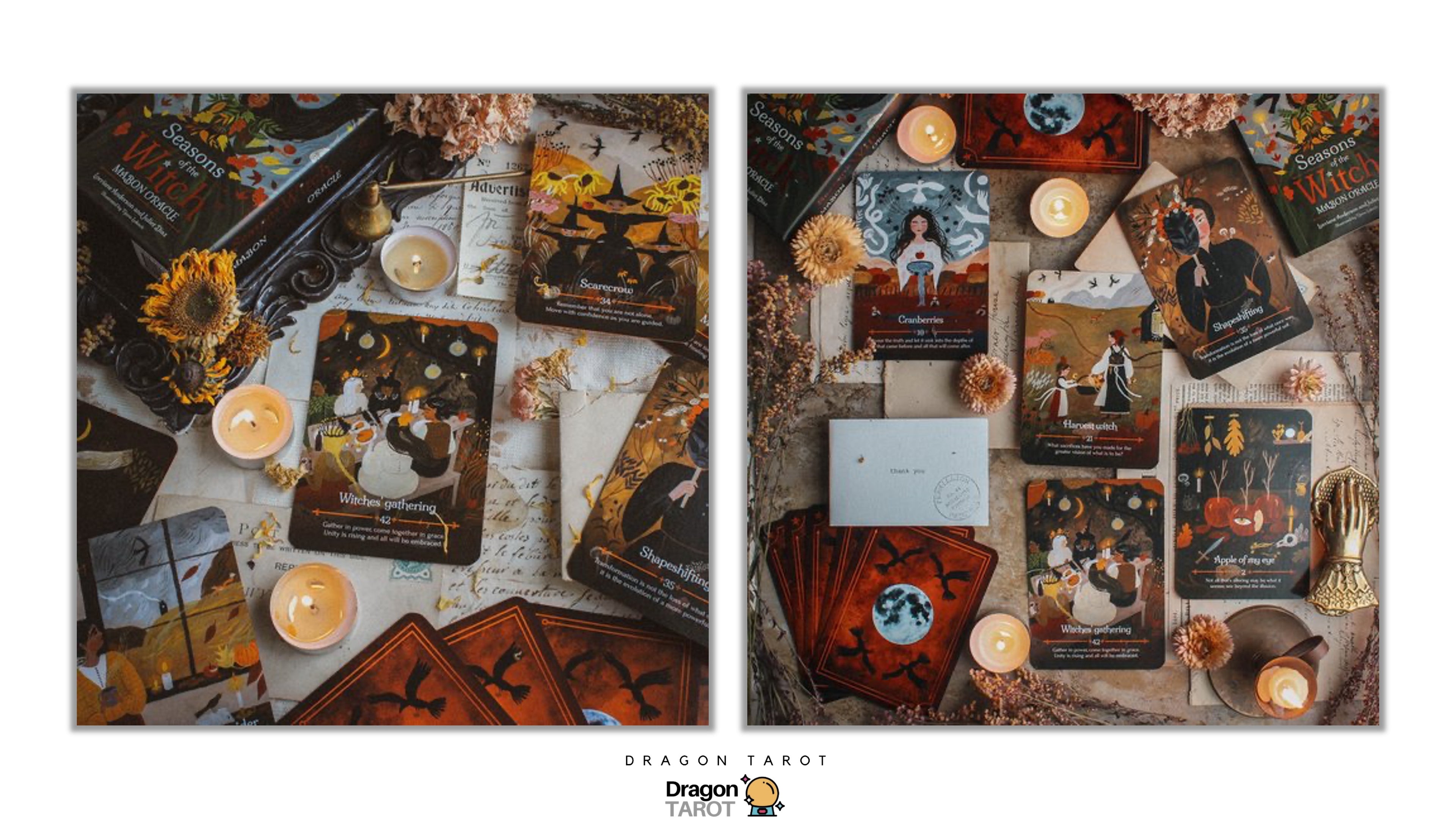 Seasons of the Witch: Mabon ไพ่ขอบทอง | ไพ่ออราเคิล