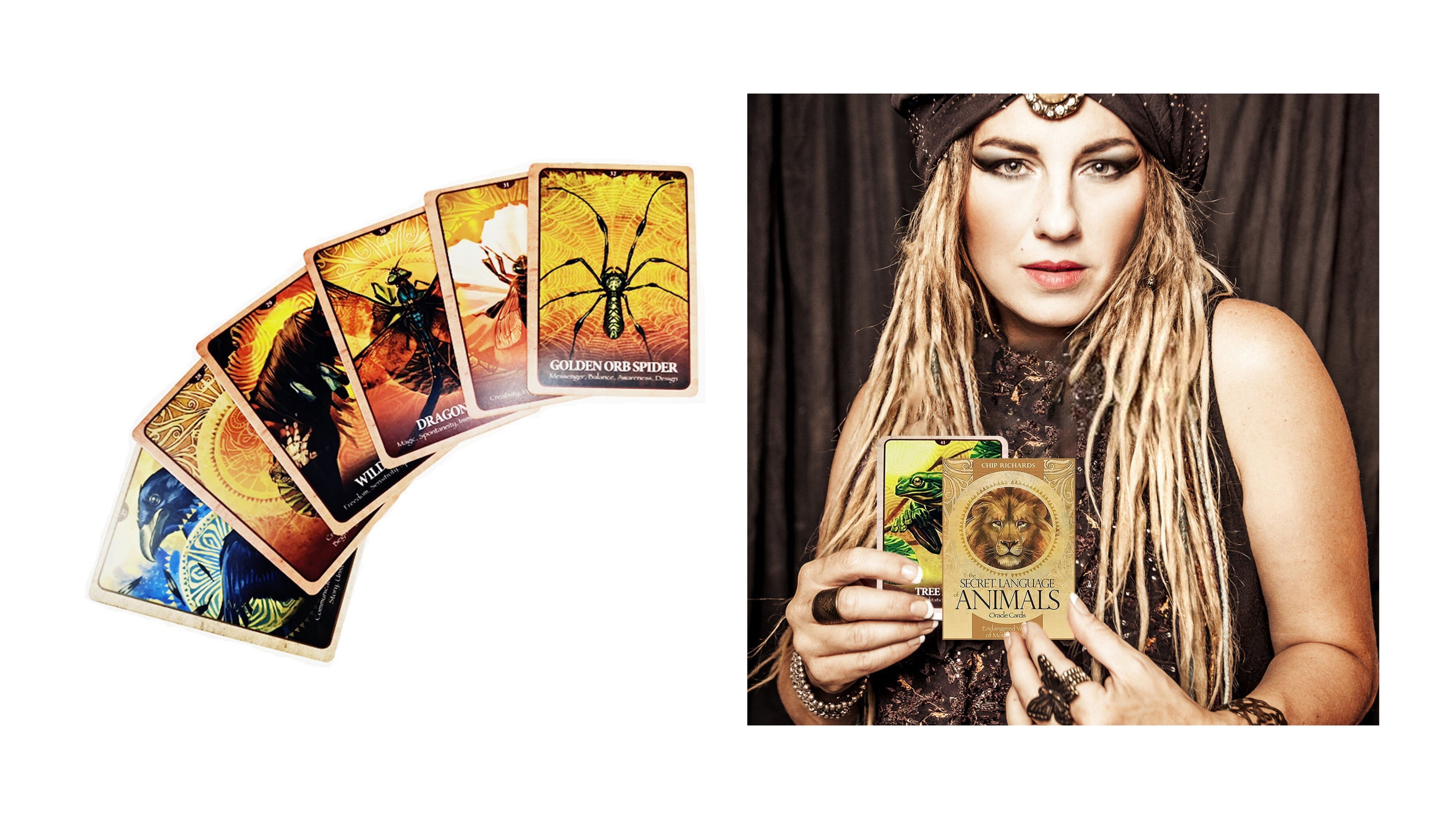 Secret Language of Animals Oracle Cards, The | ไพ่ออราเคิล