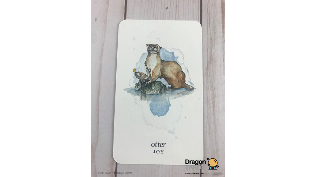 Winterseer Animal Oracle | ไพ่ออราเคิล พร้อมหนังสือคู่มือ