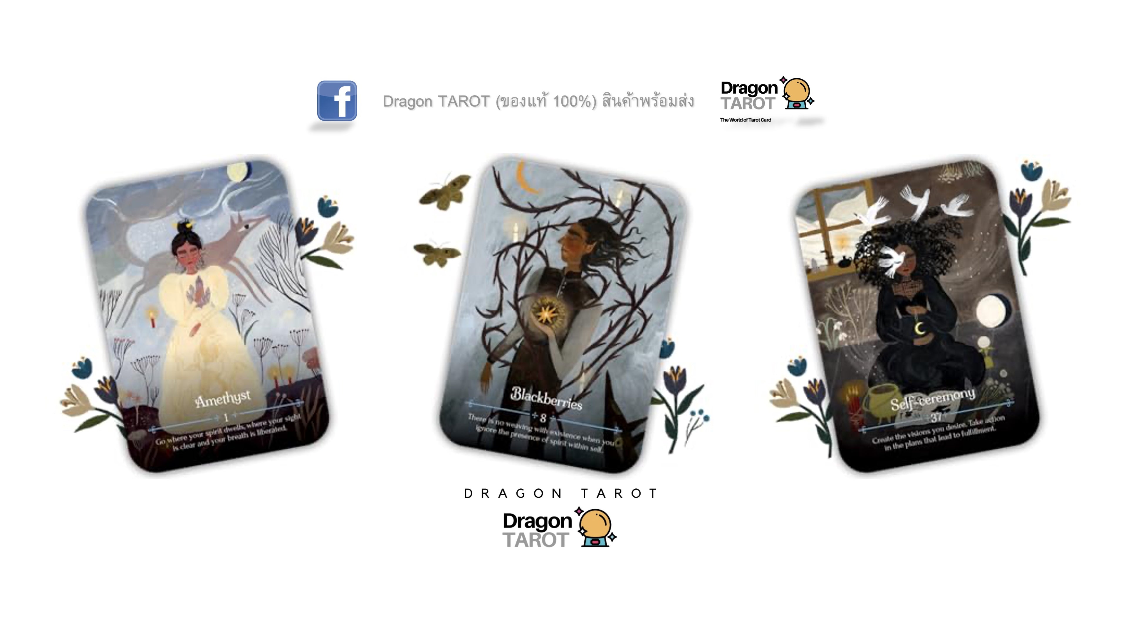 Seasons of the Witch: Imbolc Oracle ไพ่ขอบน้ำเงิน | ไพ่ออราเคิล