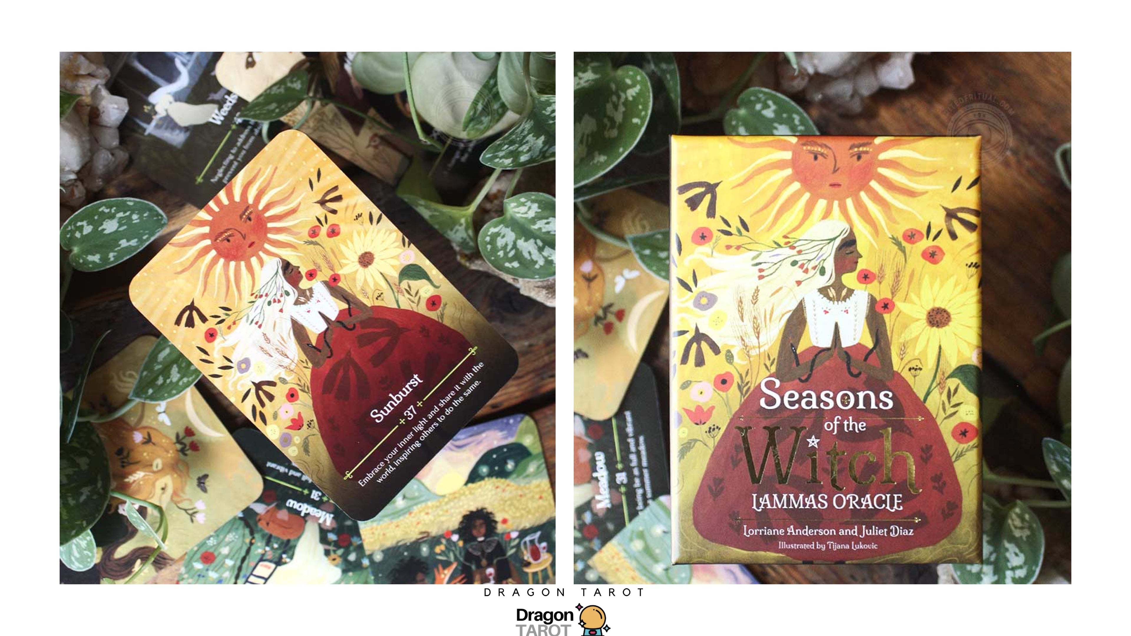 Seasons of the Witch: Lammas Oracle ไพ่ขอบทอง | ไพ่ออราเคิล