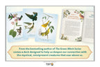 Dragon Tarot deck packaging and card artwork shown on a white background, featuring illustrated nature cards and an open book-style spread with text. A beige banner at the bottom contains promotional copy.