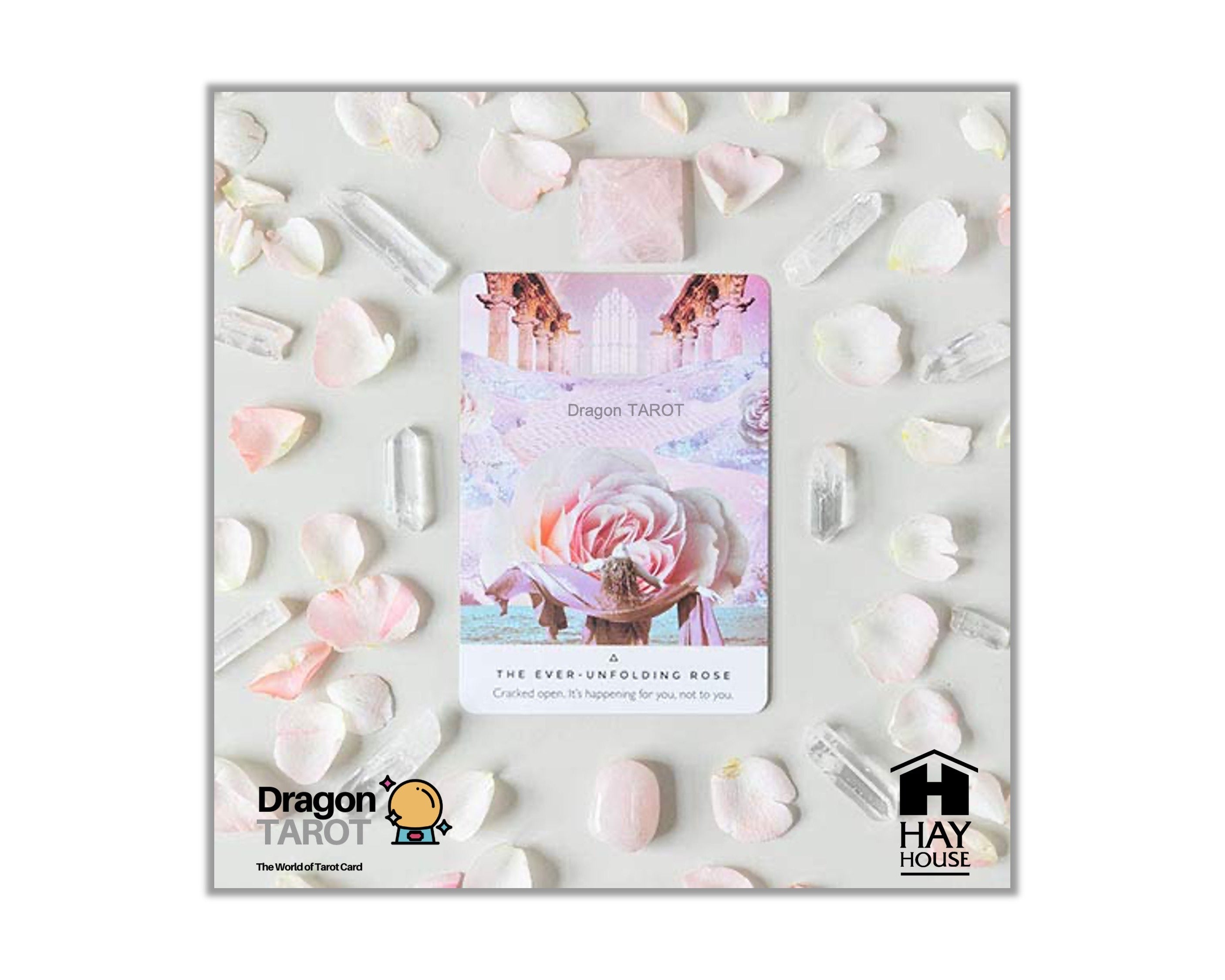 ไพ่ออราเคิล Work Your Light Oracle (ของแท้ 100%) ไพ่ยิปซี, ไพ่ทาโรต์ สินค้าพร้อมส่ง ไพ่แท้, ร้าน Dragon TAROT