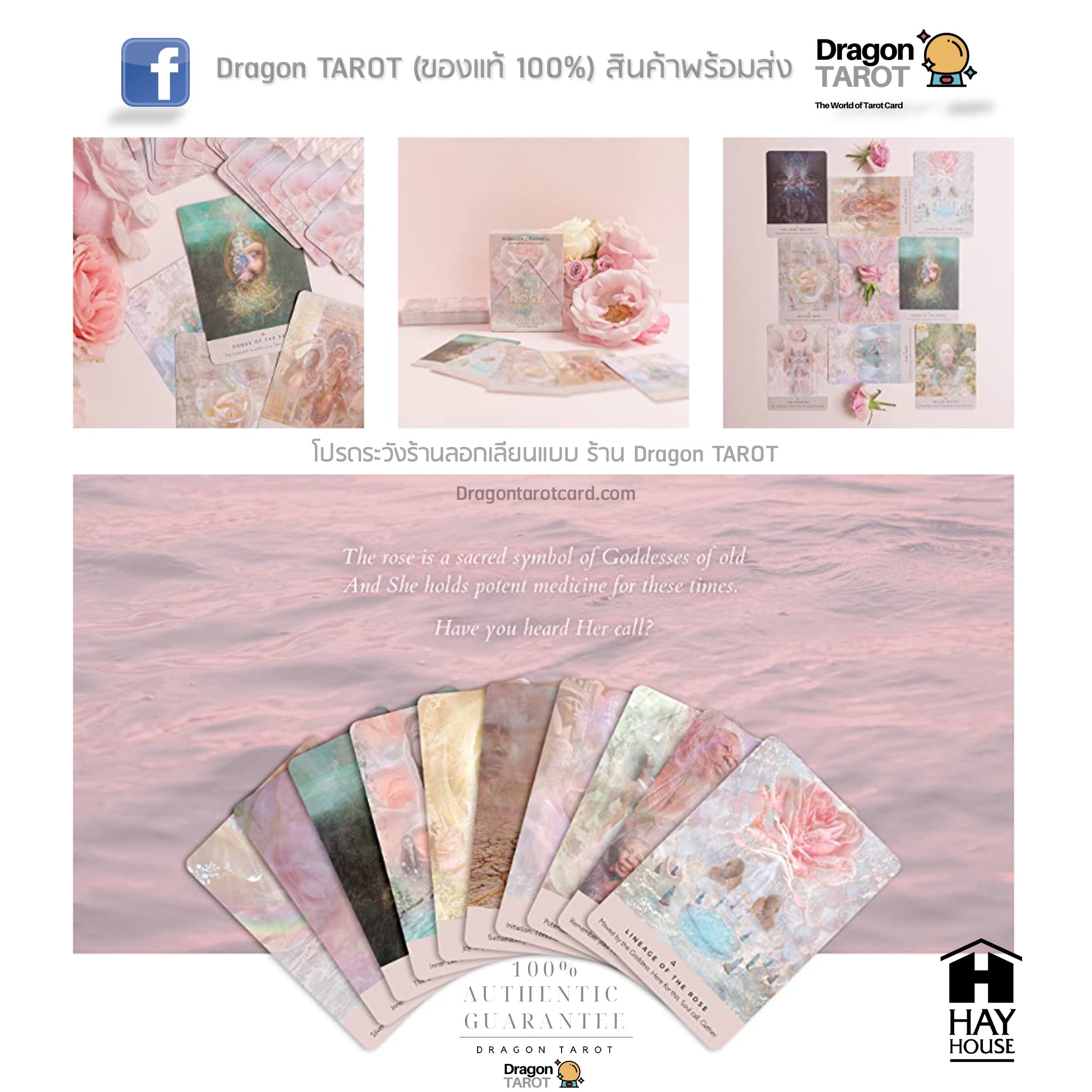 Rose Oracle: A 44-Card Deck and Guidebook, The | ไพ่ออราเคิล