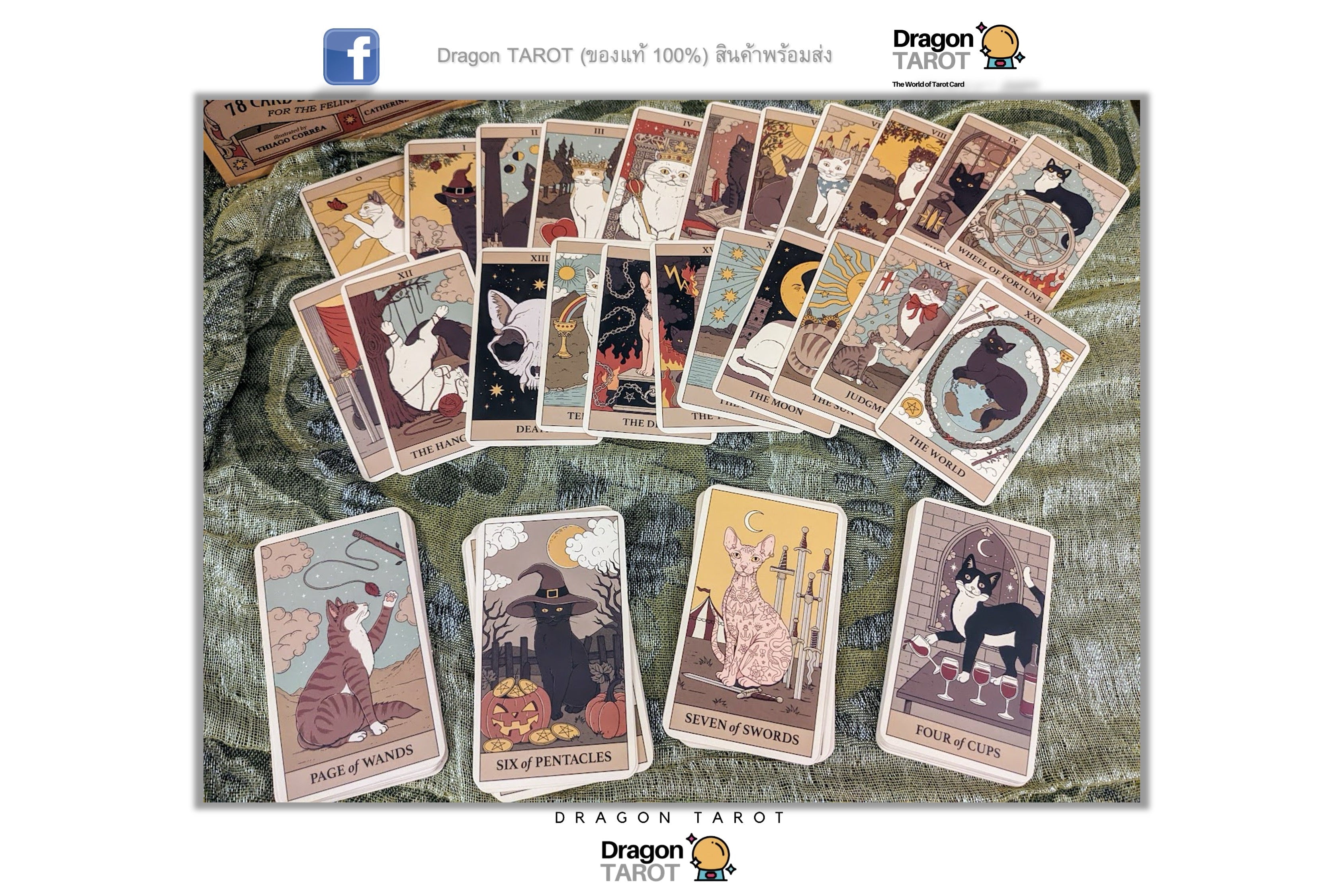 A set of illustrated tarot cards arranged on a textured green fabric background, with several cards laid out in rows and four cards displayed in front. The cards feature fantasy and gothic artwork in muted earth tones.