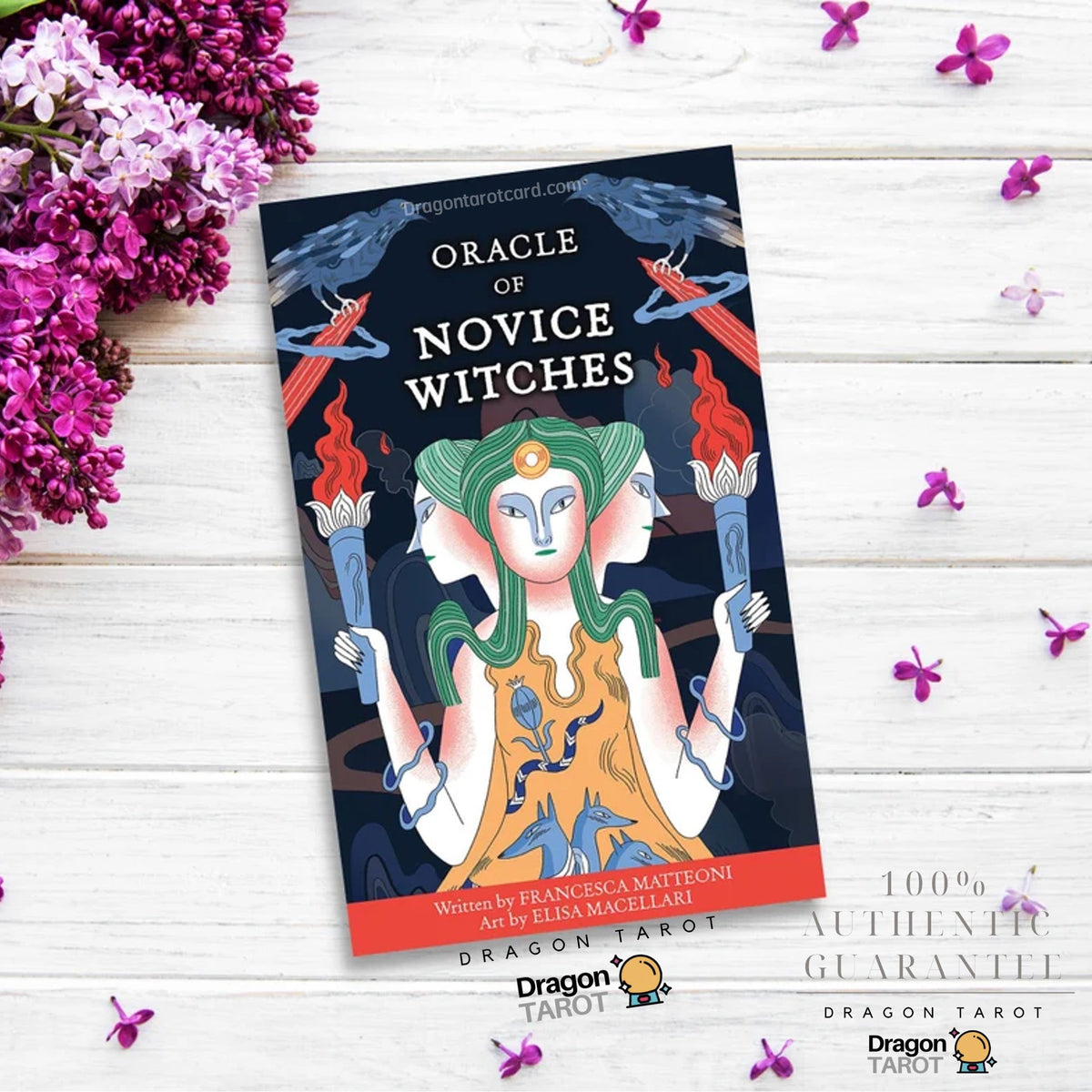 Oracle of Novice Witches | ไพ่ออราเคิล